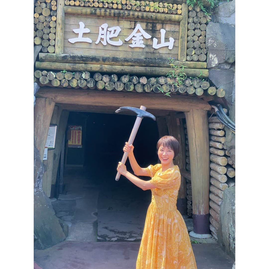 村井美樹さんのインスタグラム写真 - (村井美樹Instagram)「明日8月19日（土）BS12 17:00〜  NEXT TRIP #黄金KAIDO 静岡編 に出演します☺️  #徳川家康 ゆかりの金山をつなぐ歴史の道・黄金KAIDO（海道&街道）を葵の御紋帳を持って巡る旅。  静岡→山梨→長野→新潟 の中央日本四県を全4回に渡ってご紹介します。  今回は #静岡 編！  #土肥金山 の坑内を見学して、24億円相当の巨大な金塊に触ったり、砂金取り体験も🤩  #駿河湾フェリー に乗り込んで、かつて金の鉱石が駿府まで運ばれていた同じルートを辿り…⛴️  ランチには　#門前の恵みたいらぎ のレストラン #はなあおい　で大御所御前をいただきます😋  そして、#日本平ロープウェイ で家康公がお祀りされている#久能山東照宮 へ！  海も山も満喫します☺️🌊🏔 ぜひご覧ください✨  #NEXTTRIP #村井美樹  衣装のワンピースは @wildlily_daikanyama  #旅こけし は　#阿保六知秀工人 のみかんこけし🍊」8月18日 23時53分 - miki_murai_