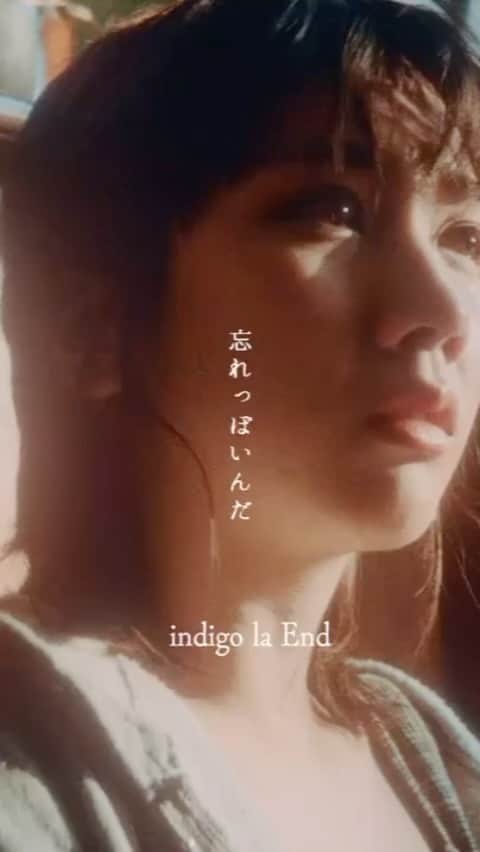 川谷絵音のインスタグラム：「indigo la End  「忘れっぽいんだ」  🎥🎥🎥」