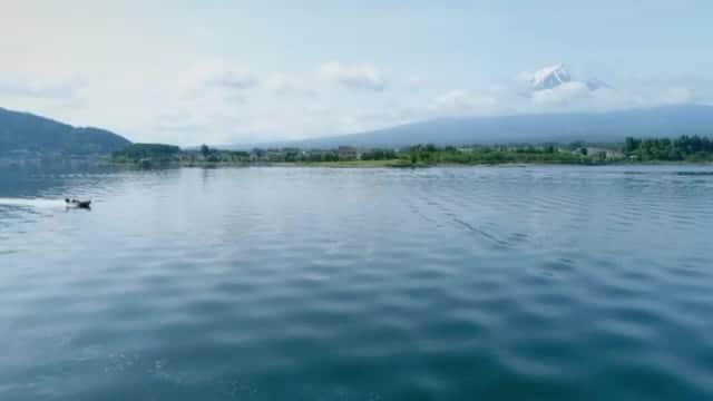 清水盛三のインスタグラム：「サンTVのザ・ヒット等で流れているEVERGREEN ・MO-DOの新CM‼️」