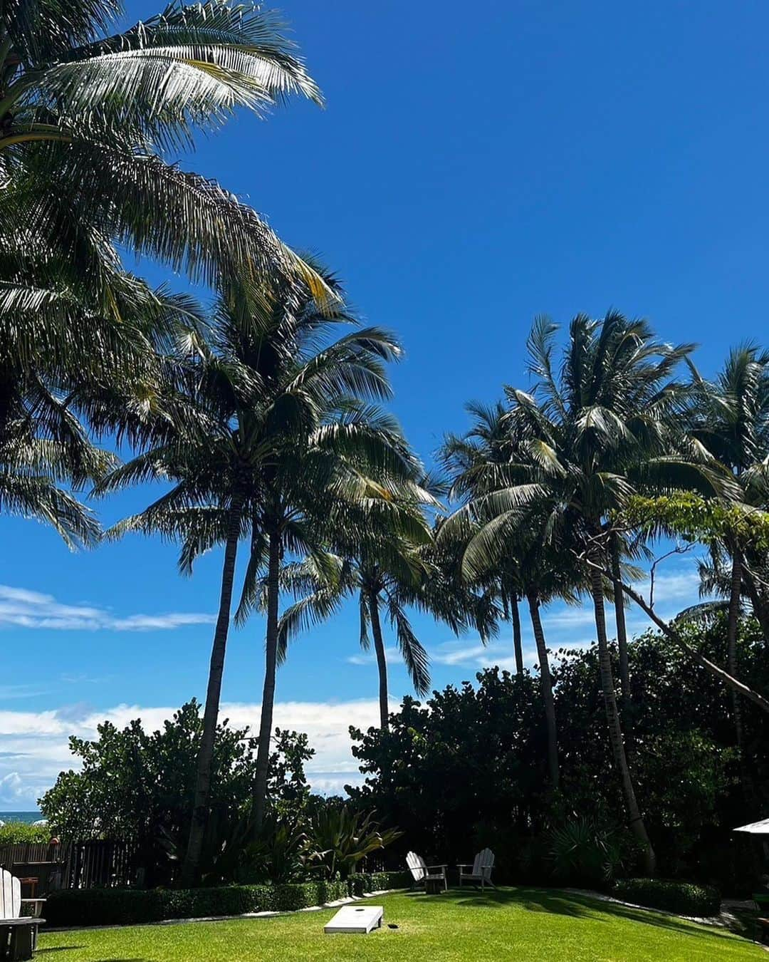 與真司郎さんのインスタグラム写真 - (與真司郎Instagram)「Took a summer trip to Miami✈️  I really enjoyed my time out there but wow it was so hot🥵  While I was there I had the chance to hang out with friends, swim in the ocean and eat some delicious food!   What’s everyone doing for summer this year?😎  夏休みということで、 マイアミへ旅行にいってきました✈️  ホンマに暑かった🥵笑 でも、海に入ったり美味しいものを食べたりマイアミに住んでる友達と遊んだり、夏っぽいことを堪能してきました！！  みんなは夏休み楽しんでるかな？！どっか行った?😎」8月19日 9時58分 - shinjiroatae1126