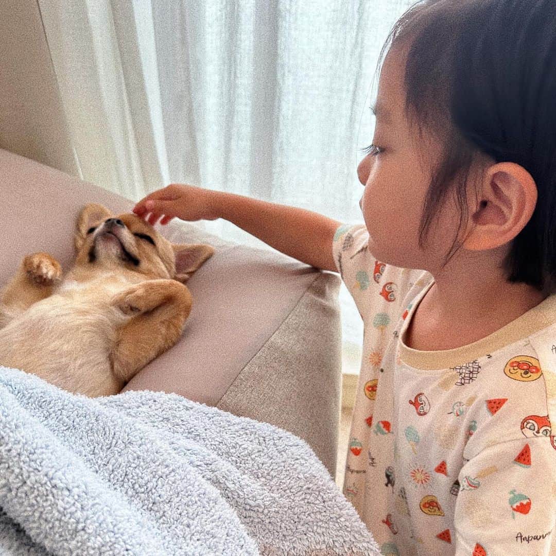 瀬戸サオリのインスタグラム：「みなさん叱咤激励のお言葉 本当にありがとうございます💐 皆様のあたたかい優しさに 感謝しております🤍🪽  今日も変わらず 朝から育児に家事に フルパワーでがんばろうと思います🫶🏽  残りわずかな貴重な夏休み🌻🍉 どこ行こうかな〜🥹？？？  朝起きてすぐ 大事なブランケットを ティちゃんに掛けてあげて 可愛いすぎるね〜って 話しかけてて 優しい息子と 寝方が最高すぎるティちゃん🐶🤍  今日も素敵な1日を…💓💓💓」