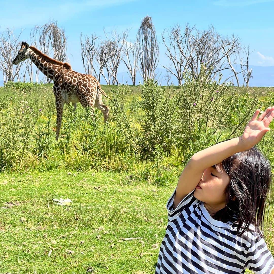榎戸教子さんのインスタグラム写真 - (榎戸教子Instagram)「シマウマとおそろいです。  ナイバシャ湖でボートサファリ。 娘のテンション、高めでした。  #kenya #naivasha #lake #safari #africa #trip #worldtraveler #zebra #giraffe」8月19日 3時49分 - noriko_enokido