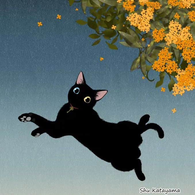 片山愁のインスタグラム：「#ねこいらすと」