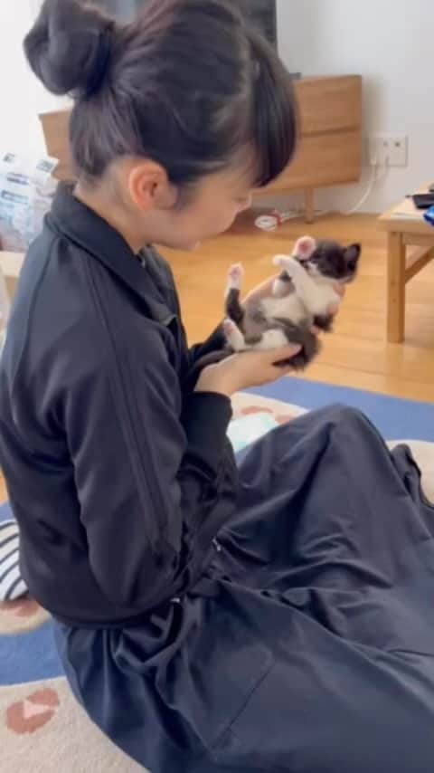古川琴音のインスタグラム：「【TV】NHK Eテレ『ねこのめ美じゅつかん』再放送のお知らせ😽 15歩め「ルドンの目ん玉は何を見てるの?」 再放送 8月19日(土)11:30/8月22日(火)15:45 ・ 16歩め「仙厓義梵の絵は“元祖ゆるキャラ”?」 再放送 8月24日(木)08:25 ・ むーちゃんが家に来たてのとき。 シングルキャットマザーになったとき。 むーは最近自分の家で一緒に暮らし始めた猫ですが、この話はいつかまた追々☺️」