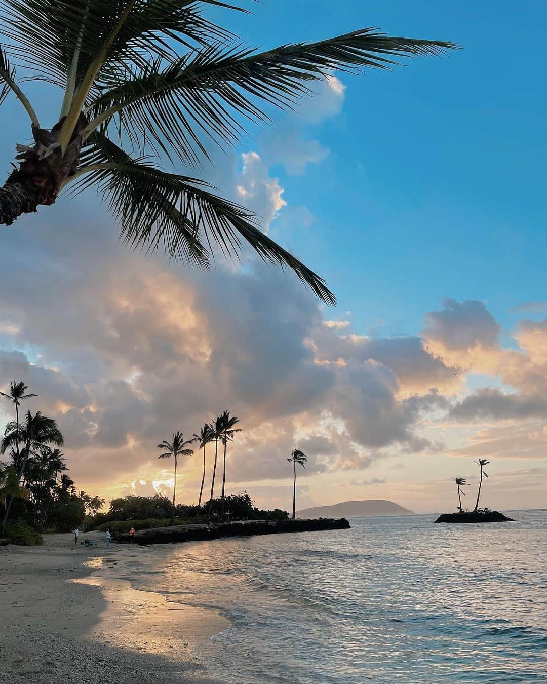 堀江直美さんのインスタグラム写真 - (堀江直美Instagram)「Kahala beach🏖️  Kahalaの良いところって喧騒から離れてただただプライベートを楽しめること.  ご飯もアクティビティも全てホテル内で🌺  気持ちが落ち着つく☺️  @kahala_resort   #Hawaii#ハワイ#ハワイ旅行#子連れハワイ#Hawaiitrip#家族旅行#kahalahotel#kahala#カハラホテル#カハラ#家族写真#family#familyphotography #子連れ旅行#子連れ海外#shishikui#hn✈️trip#HIAND#ハイアンド#hnhiand」8月19日 8時11分 - naomiiiiiiiiiiii