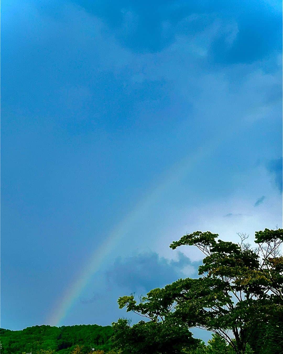 内田恭子さんのインスタグラム写真 - (内田恭子Instagram)「おはようございます。  のんびりとして、10日ぶりに山を降りてきました。東京はまだまだ暑い。まずは身体を暑さにならします！  子供たちと見た、雨上がりの虹が綺麗だったな。  #今日から #通常運転  #夏は #まだつづく  #内田恭子  #kyokouchida」8月19日 8時42分 - kyoko.uchida.official
