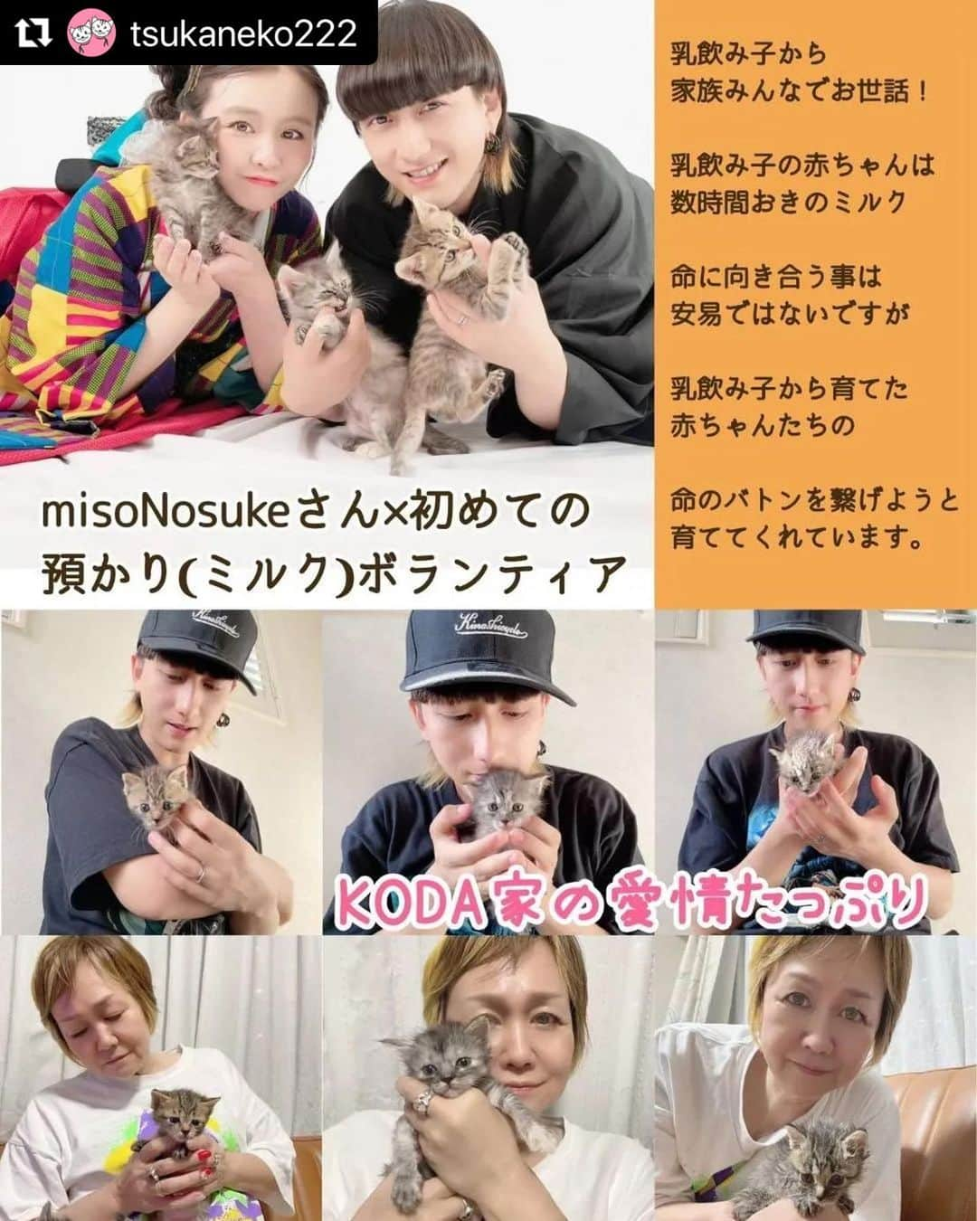 misoNosukeのインスタグラム