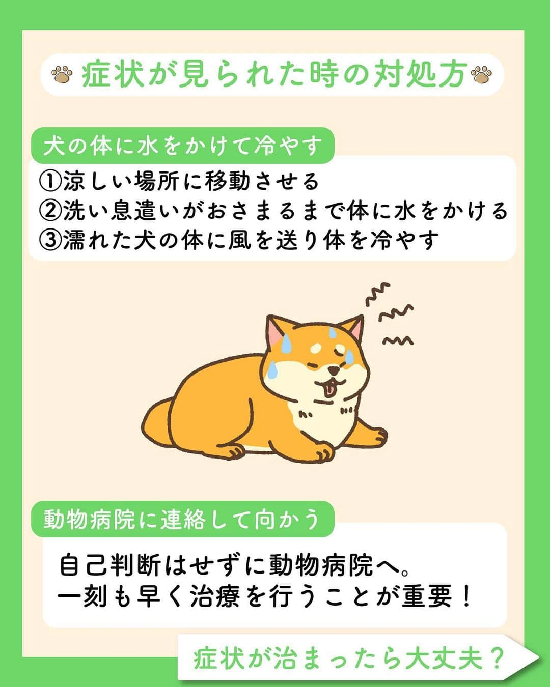 ライオン商事株式会社さんのインスタグラム写真 - (ライオン商事株式会社Instagram)「まだまだ愛犬の熱中症にご注意を‼️☀🐶  お盆シーズンを過ぎましたが、暑い日が続いています。🥵  わんちゃんもヒトと同じように熱中症に注意が必要です。  わんちゃんは体と地面の距離が近いため、 地面やアスファルトの熱の影響を受けやすいです。 お散歩は地面の温度をチェックして、比較的涼しい時間帯に行きましょう。  また、熱中症は屋外だけではなく、室内でも起こる可能性があります。  しっかりと予防・対策をして夏を元気に過ごしましょう！  #夏 #熱中症対策 #熱中症 #熱中症注意#熱中症予防 #愛犬のために#愛犬を守ろう　#いぬとの生活 #いぬ好きさんと繋がりたい #いぬ #イヌ  #犬 #わんこ #ワンコ #いぬスタグラム #イヌスタグラム #犬スタグラム #わんこのいる生活 #ワンコのいる生活 #イヌのいる生活 #イヌのいる暮らし #lionpet #lionpetdog #ライオンペット #いぬとのくらし #イヌ部 #犬大好き部 #いぬとくらす」8月19日 9時33分 - lion_pet_dog