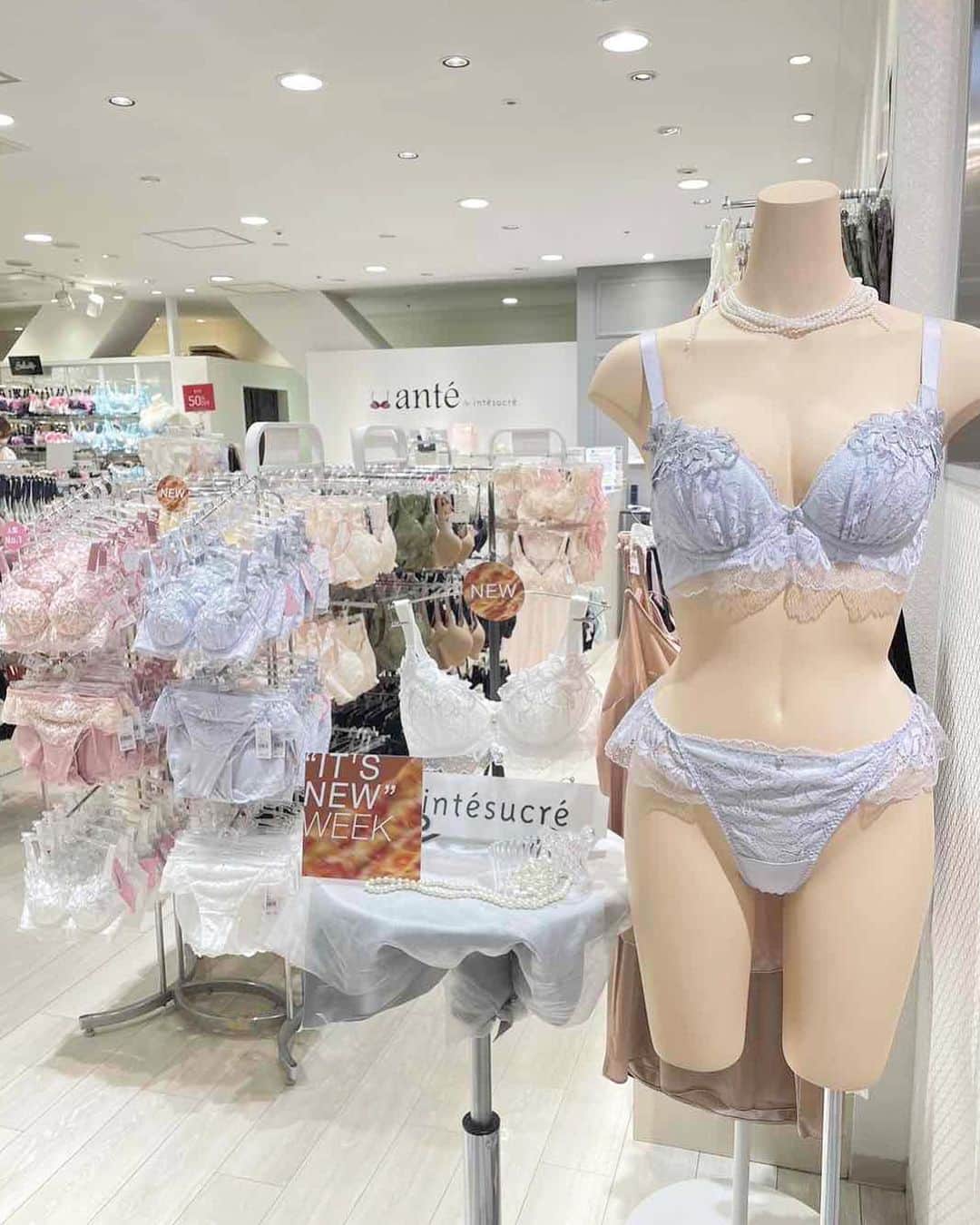 のインスタグラム：「𖧷 ⁡ ルミネ横浜店からご紹介するのは、 ⁡ 「やさしくて、シッカリ者。」がコンセプトの ⁡ ロングセラー商品［なでしこブラ］の新作❣️ ⁡ ⁡ ⁡ 肌当たりの良いワイヤーや素材を使用した【やさしさ】と、 ⁡ サイドステッチで流れ止めをした【シッカリ】カップで ⁡ ✨メリハリシルエット✨をメイクします♪ ⁡ ⁡ ⁡ ⁡ 新デザインは、 ⁡ 柔らかく繊細さが際立つストレッチレースと、 ⁡ 滑らかで流動感のあるケミカルモチーフをふんだんにあしらい、 ⁡ “女性的な美”が表現されています✨ ⁡ ⁡ 初めての方もリピーターの方も、 ⁡ ぜひ店頭でお試しください🧡 ⁡ ⁡ ⁡ ⁡ お一人お一人のご要望に合わせた下着選びを ⁡ させていただきます♡ ⁡ お気軽にスタッフにお声がけください！ ⁡ ⁡ ⁡ 気になったら右の保存マークをタップ♡ ⁡ ⁡ ⁡ ｡.｡:+* ﾟ ゜ﾟ *+:｡.｡:+* ﾟ ゜ﾟ  ⁡ ⁡ ⁡ 下着にまつわるご相談はDMより承っております💗 ⁡ ▷ ▷ ▷ @intesucre_official  ⁡ ⁡ ⁡ ⁡ 𓂃  ୨୧  𓂃 ⁡ ⁡ ⁡ #なでしこブラ #脇スッキリ #メリハリシルエット #ブラジャー #ブラ #バストメイク #着やせ #可愛いブラ  #下着好き #下着ブランド #ランジェリーショップ #下着専門店  #intesucre #アンテシュクレ」