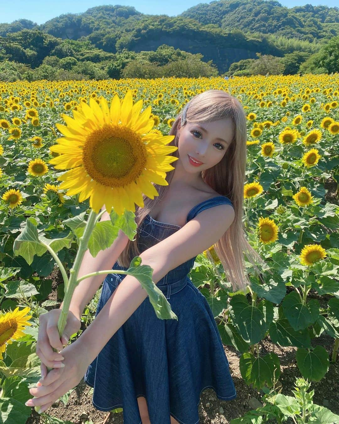 ぽょ姫のインスタグラム：「𝚂𝚄𝙽𝙵𝙻𝙾𝚆𝙴𝚁 ⁑ 念願のひまわり畑🌻 いつか身長より高いひまわり畑行きたいな💛 𝙾𝚗𝚎𝚙𝚒𝚎𝚌𝚎: @darich_official  ⁑ ⚘  観光農園 花ひろば 🚩 愛知県知多郡南知多町豊丘高見台４８  #花ひろば #花ひろば南知多 #ひまわり #ひまわり畑 #ひまわり #観光農園 #観光農園花ひろば #観光スポット #観光 #観光地 #愛知 #愛知観光 #愛知カメラ部 #南知多 #南知多町 #知多半島」