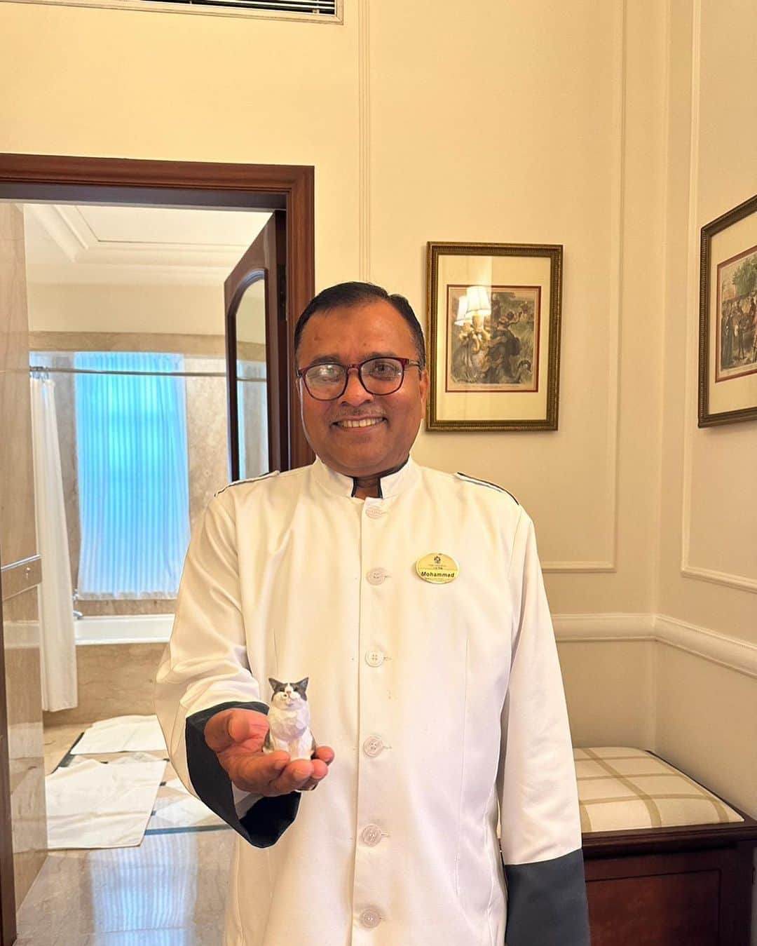 yamanekoさんのインスタグラム写真 - (yamanekoInstagram)「タロー🇮🇳インドに行く‼︎」8月19日 19時18分 - yamaneko5656