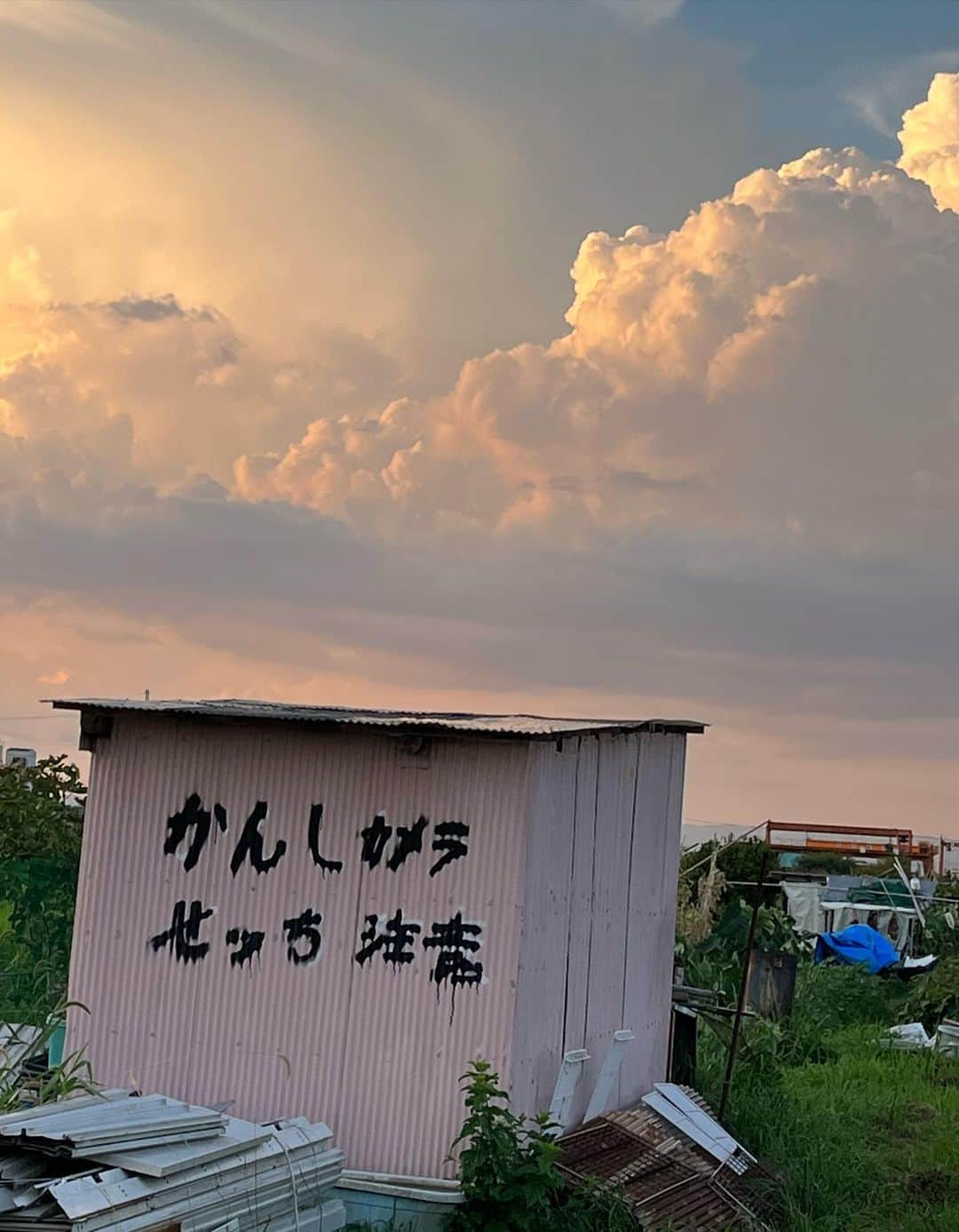本郷多香子さんのインスタグラム写真 - (本郷多香子Instagram)「美しい自然 美しい空気が大好き」8月19日 19時13分 - tkk0101