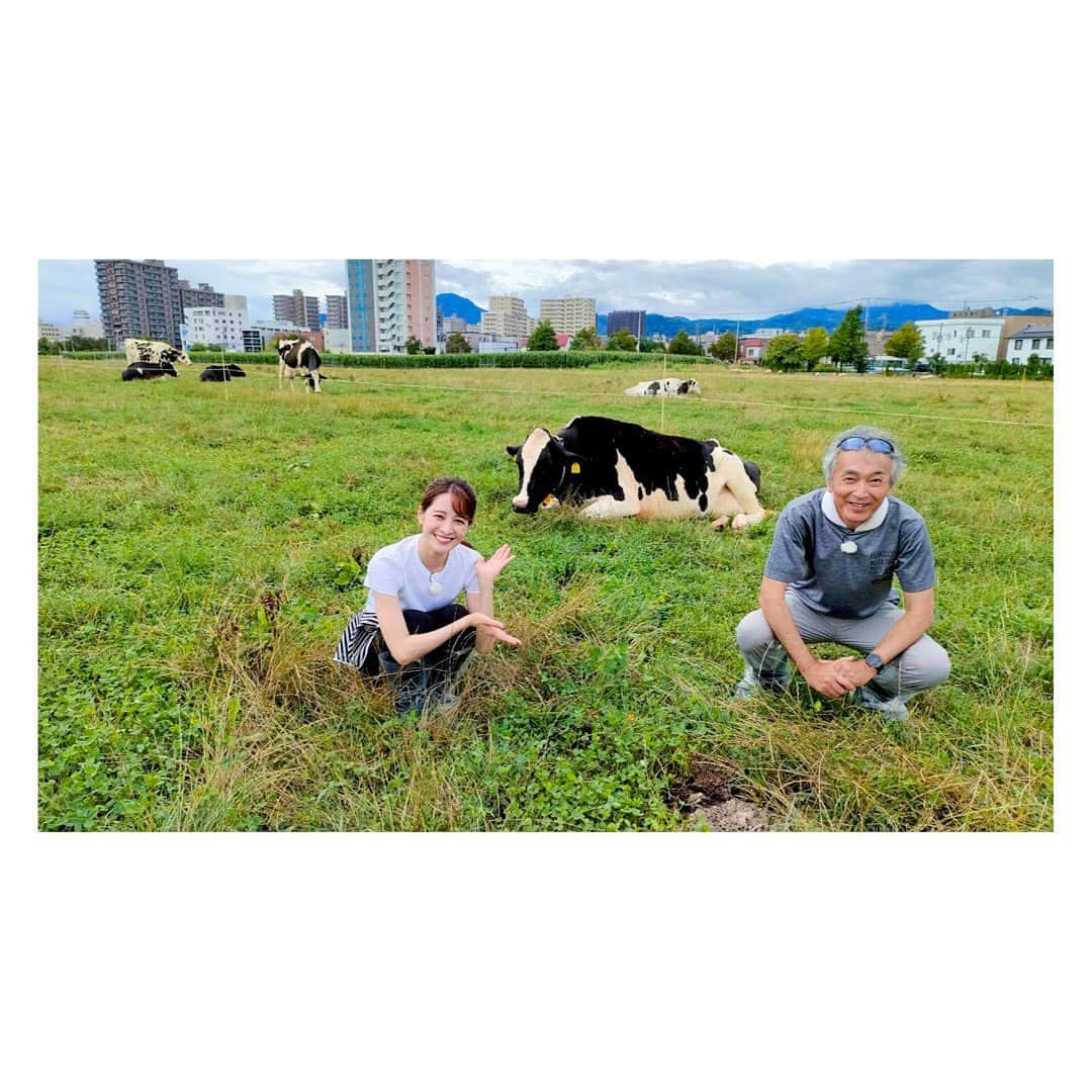 後呂有紗のインスタグラム：「🐄 北海道で牛のげっぷを研究する(!?) 小林教授に話を聞いてきました🐄✨  明日のバンキシャ！で放送予定です🐄  #バンキシャ　 #北海道　#牛」