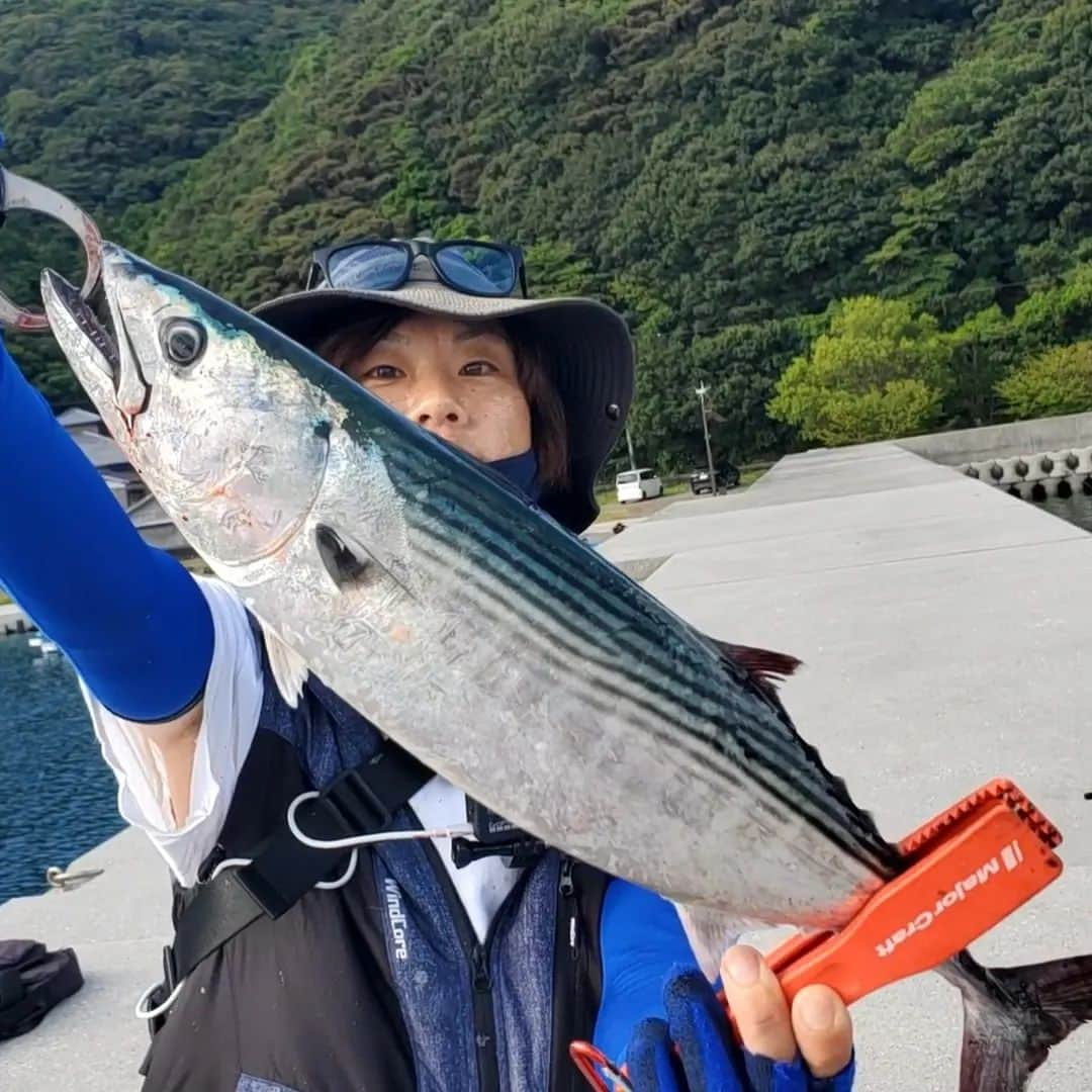 サトシさんのインスタグラム写真 - (サトシInstagram)「愛媛遠征in宇和島🏝⁡ ⁡宇和島で初のショアジギング。⁡ ⁡⁡ ⁡色んな方にお話を聞いて今回は宇和島へ辿り着きました。⁡ ⁡⁡ ⁡いろいろ教えてくれた方々ありがとうございました！⁡⁡ ⁡⁡ ⁡今回はカツオ、カンパチ、ハマチ、ハタ、シイラ狙い！⁡ ⁡⁡ ⁡狙いが多すぎる問題やけどどれか釣りたい！ってことで夕まずめに到着して軽くショアジギング‪🎣‬⁡ ⁡⁡ ⁡宇和島の海はベイトがめっちゃ多い！⁡ ⁡そして種類も多い！⁡ ⁡⁡ ⁡夕まずめは不発に終わって次の日もベイトの多さと生命感に期待を込めて朝マズメチャレンジ！⁡ ⁡⁡⁡ ⁡相変わらずベイトはめっちゃ居るもののフィッシュイーターの気配は感じれず3時間ほど経過、、。⁡⁡ ⁡⁡ ⁡地元の方いわく台風の影響で魚が居なくなったとの事、、。 ⁡⁡ ⁡他の釣り人たちも座り込んで空を見上げる時間。⁡ ⁡⁡ ⁡何気にメジャークラフトのジグサビキを付けてゆ〜らゆ〜らアクションしながら巻いてたら大量のベイトの下から何かが食いついてきた！⁡ ⁡⁡ ⁡しかも2匹！！⁡ ⁡⁡ ⁡いきなり走り出してもう何が掛かったか分からないまま1匹ハズれて1対1の闘い(ง🔥Д🔥)ง⁡ ⁡⁡ ⁡引き的にはかなり大サバ！⁡ ⁡⁡ ⁡横に走りまくって海面に顔を出したら、、念願のカツオ！！⁡ ⁡⁡ ⁡おぉ！⁡ ⁡⁡ ⁡もうジグもジグサビキも全部の針が掛かってて申し訳ない体勢でランディング！⁡ ⁡⁡ ⁡人生初めてのカツオ！⁡ ⁡⁡ ⁡皆さんにお聞きしたらどうやらハツガツオとの事で、これはカツオですよね、、？⁡ ⁡⁡ とにかく嬉しかった！⁡ ⁡⁡ ⁡あとメジャークラフトのジグサビキのオーロラが太陽の光で反射して水中でものすごくアピールしてくれた！⁡ ⁡⁡ ⁡嬉しい宇和島釣行でした☆⁡ ⁡⁡ ⁡#ほんわか釣り倶楽部 #ショアジギング #青物 #釣り #南港 #釣りガール  #メジャークラフト #愛媛釣り #タコ #夢フィッシング #新波止 #ヤザワ渡船 #ジグサビキ #カツオ #宇和島 ⁡」8月19日 19時43分 - satoshi_honwaka