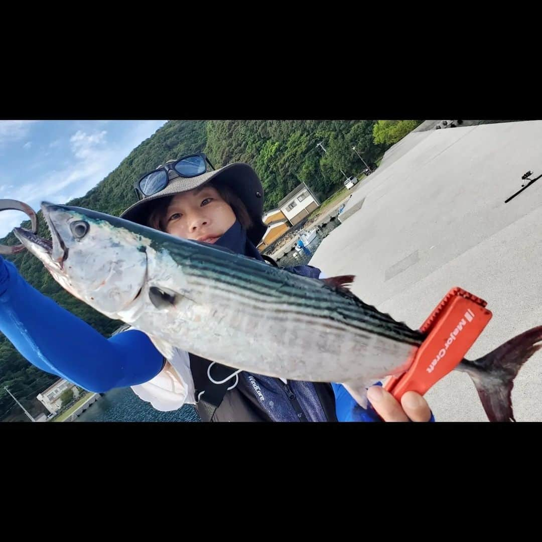 サトシのインスタグラム：「愛媛遠征in宇和島🏝⁡ ⁡宇和島で初のショアジギング。⁡ ⁡⁡ ⁡色んな方にお話を聞いて今回は宇和島へ辿り着きました。⁡ ⁡⁡ ⁡いろいろ教えてくれた方々ありがとうございました！⁡⁡ ⁡⁡ ⁡今回はカツオ、カンパチ、ハマチ、ハタ、シイラ狙い！⁡ ⁡⁡ ⁡狙いが多すぎる問題やけどどれか釣りたい！ってことで夕まずめに到着して軽くショアジギング‪🎣‬⁡ ⁡⁡ ⁡宇和島の海はベイトがめっちゃ多い！⁡ ⁡そして種類も多い！⁡ ⁡⁡ ⁡夕まずめは不発に終わって次の日もベイトの多さと生命感に期待を込めて朝マズメチャレンジ！⁡ ⁡⁡⁡ ⁡相変わらずベイトはめっちゃ居るもののフィッシュイーターの気配は感じれず3時間ほど経過、、。⁡⁡ ⁡⁡ ⁡地元の方いわく台風の影響で魚が居なくなったとの事、、。 ⁡⁡ ⁡他の釣り人たちも座り込んで空を見上げる時間。⁡ ⁡⁡ ⁡何気にメジャークラフトのジグサビキを付けてゆ〜らゆ〜らアクションしながら巻いてたら大量のベイトの下から何かが食いついてきた！⁡ ⁡⁡ ⁡しかも2匹！！⁡ ⁡⁡ ⁡いきなり走り出してもう何が掛かったか分からないまま1匹ハズれて1対1の闘い(ง🔥Д🔥)ง⁡ ⁡⁡ ⁡引き的にはかなり大サバ！⁡ ⁡⁡ ⁡横に走りまくって海面に顔を出したら、、念願のカツオ！！⁡ ⁡⁡ ⁡おぉ！⁡ ⁡⁡ ⁡もうジグもジグサビキも全部の針が掛かってて申し訳ない体勢でランディング！⁡ ⁡⁡ ⁡人生初めてのカツオ！⁡ ⁡⁡ ⁡皆さんにお聞きしたらどうやらハツガツオとの事で、これはカツオですよね、、？⁡ ⁡⁡ とにかく嬉しかった！⁡ ⁡⁡ ⁡あとメジャークラフトのジグサビキのオーロラが太陽の光で反射して水中でものすごくアピールしてくれた！⁡ ⁡⁡ ⁡嬉しい宇和島釣行でした☆⁡ ⁡⁡ ⁡#ほんわか釣り倶楽部 #ショアジギング #青物 #釣り #南港 #釣りガール  #メジャークラフト #愛媛釣り #タコ #夢フィッシング #新波止 #ヤザワ渡船 #ジグサビキ #カツオ #宇和島 ⁡」