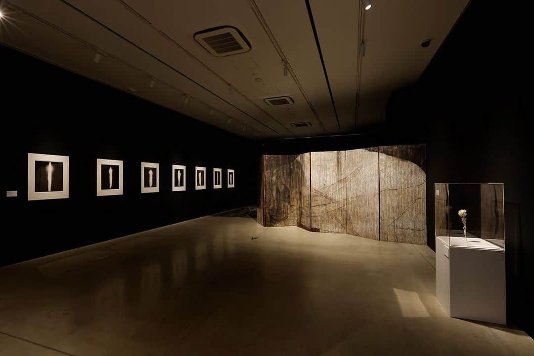 Warehouse TERRADA 寺田倉庫のインスタグラム：「8月27日（日）まで！  東京・天王洲にあるWHAT MUSEUMにて現在開催中の 高橋龍太郎コレクション「ART de チャチャチャ ー日本現代アートのDNAを探るー」展の会期があと少しとなりました。  本展では、岡村桂三郎、鴻池朋子、菅木志雄、山口晃、横尾忠則など、 日本の長い歴史の中で築き上げられてきた文化や芸術、価値観を継承しながらも独自の視点で再解釈し、新たな形や方法で表現している作家の作品を中心にご紹介しています。  WHAT MUSEUMおよび展覧会についてはこちらから→ @what_terrada  https://what.warehouseofart.org/exhibitions/takahashi-collection-artdechachacha/  Photo by Keizo KIOKU WHAT MUSEUM 会場風景 高橋龍太郎コレクション「ART de チャチャチャ ―日本現代アートのDNAを探る―」展  #WHATMUSEUM #高橋龍太郎コレクション #コレクターズミュージアム #アートコレクター #美術品保管 #現代アート #artcollector #contemporaryart  #寺田倉庫 #WarehouseTERRADA  #天王洲 #アートシティ #アート #tennoz #artcity #art」
