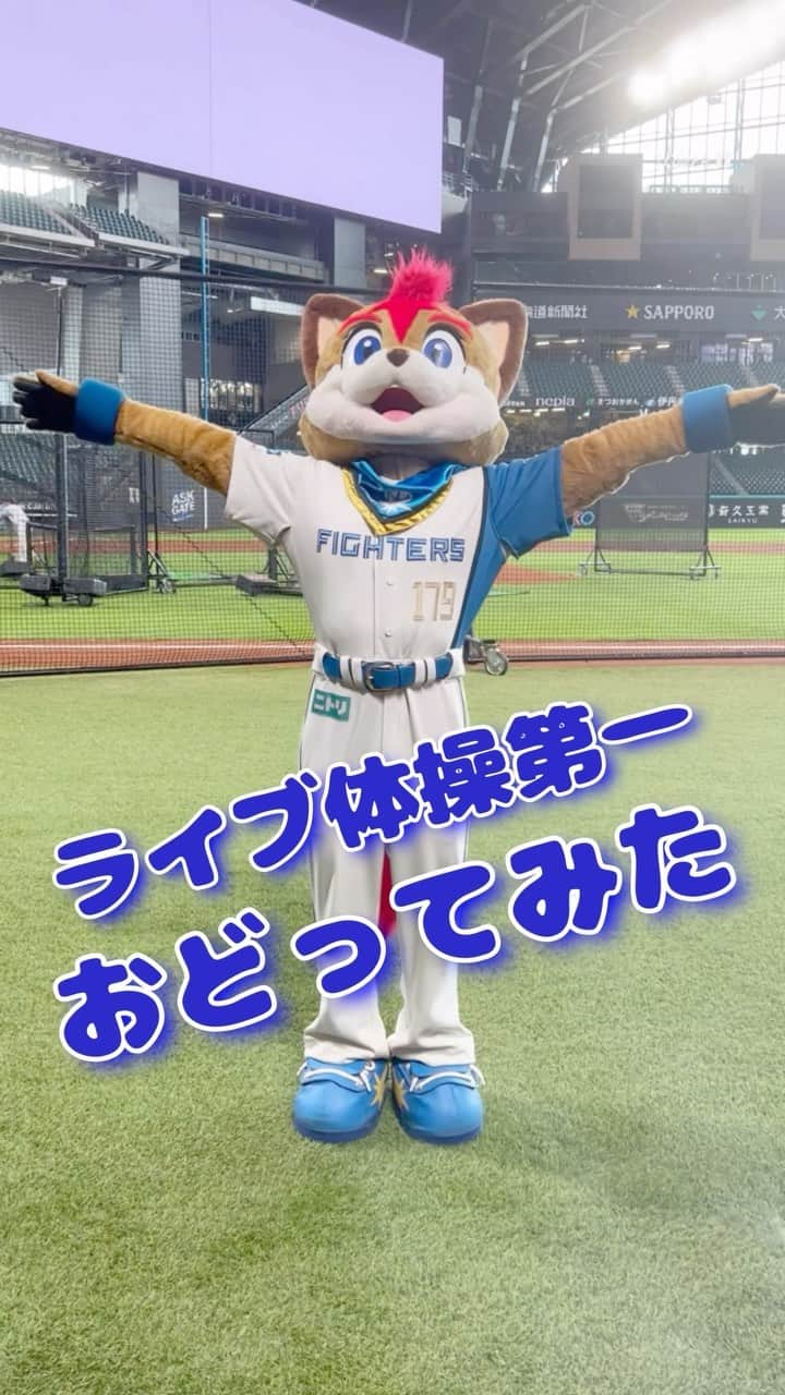 北海道日本ハムファイターズ フレップのインスタグラム：「. 【踊ってみた💪】  どーも、🦊です！！  みんな、夏満喫してる？ 北海道の夏休みはもうすぐ終わっちゃうけど、昼間はまだまだ汗ばんでるし、本州のみんなはまだまだ猛暑真っ只中だよね☀️💦  そんな暑さに負けないように、なかねかな。さんの「ライブ体操第一」を元気いっぱい力いっぱい気合いっぱいで踊ってみたよ💪🎵  夏バテには気をつけて、大人も子供もみんな揃って元気に夏を駆け抜けようっ😆👍  #なかねかな #ライブ体操第一 #踊ってみた #暴れてみた？ #サビ は #振付  #🦊 #水分補給は大切  #北海道日本ハムファイターズ　 #lovefighters  #新時代　#FANSAREOURTREASURE  #フレップ」