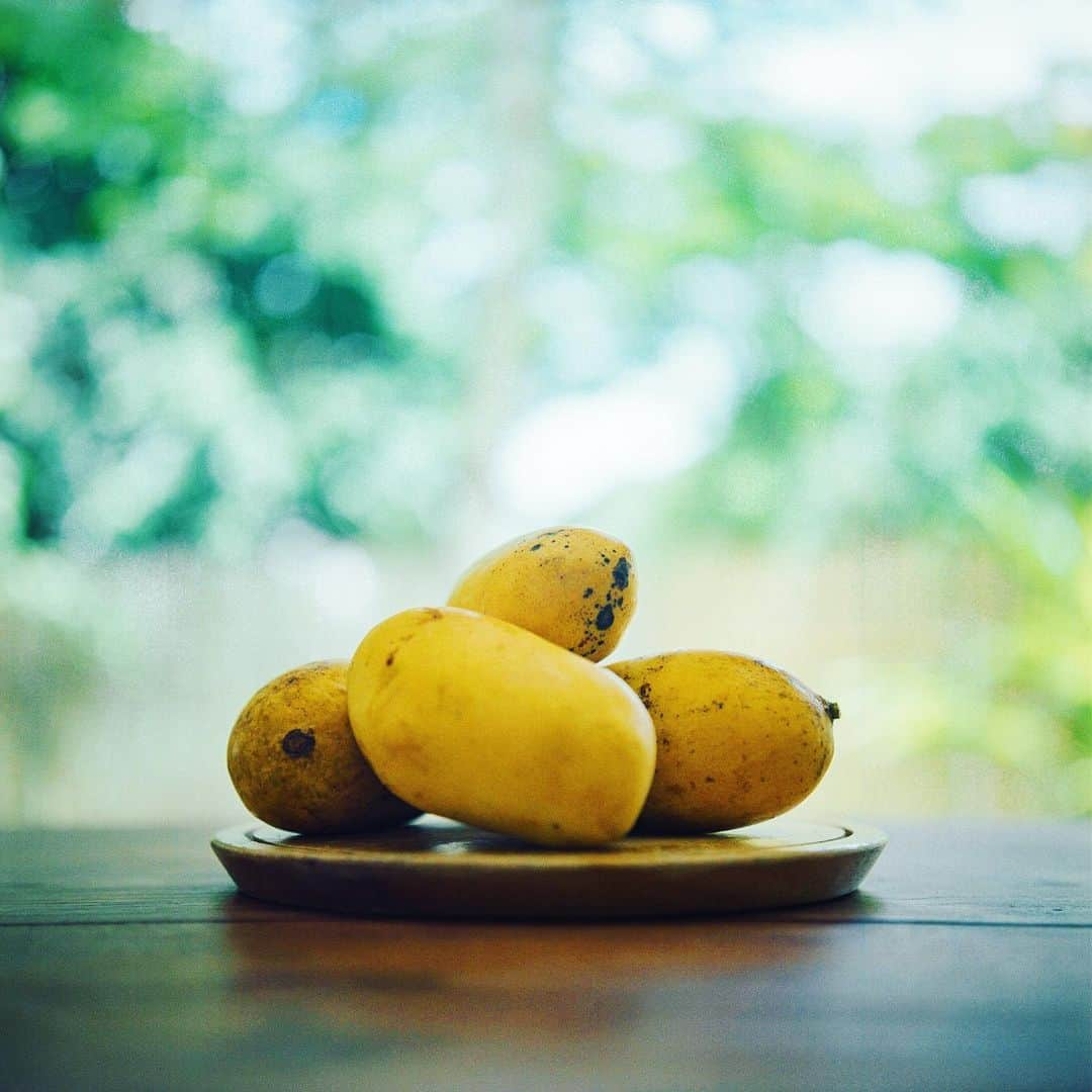 美紀のインスタグラム：「Birthday Mango🥭  今年のBirthday Cakeは 5個120円のマンゴー 　 帰国してすぐの現場で 私が旅バナをする前に ヘアメイクさんが 「マンゴー16個、食べたんだって？！」  正しくは14個ね（笑） 誕生日が14日だから14 個 どうでもいいですね  1. 5個120円のマンゴー 2. マンゴーと私 3. 初日ゲットして追熟させたマンゴー  マンゴーパラダイスな BDayになりました🥭  #mikitravel_thailand🇹🇭 #mikitravel_chiangmai2023  #miki_travel_life #rolleilife #miki_rollei_shot」