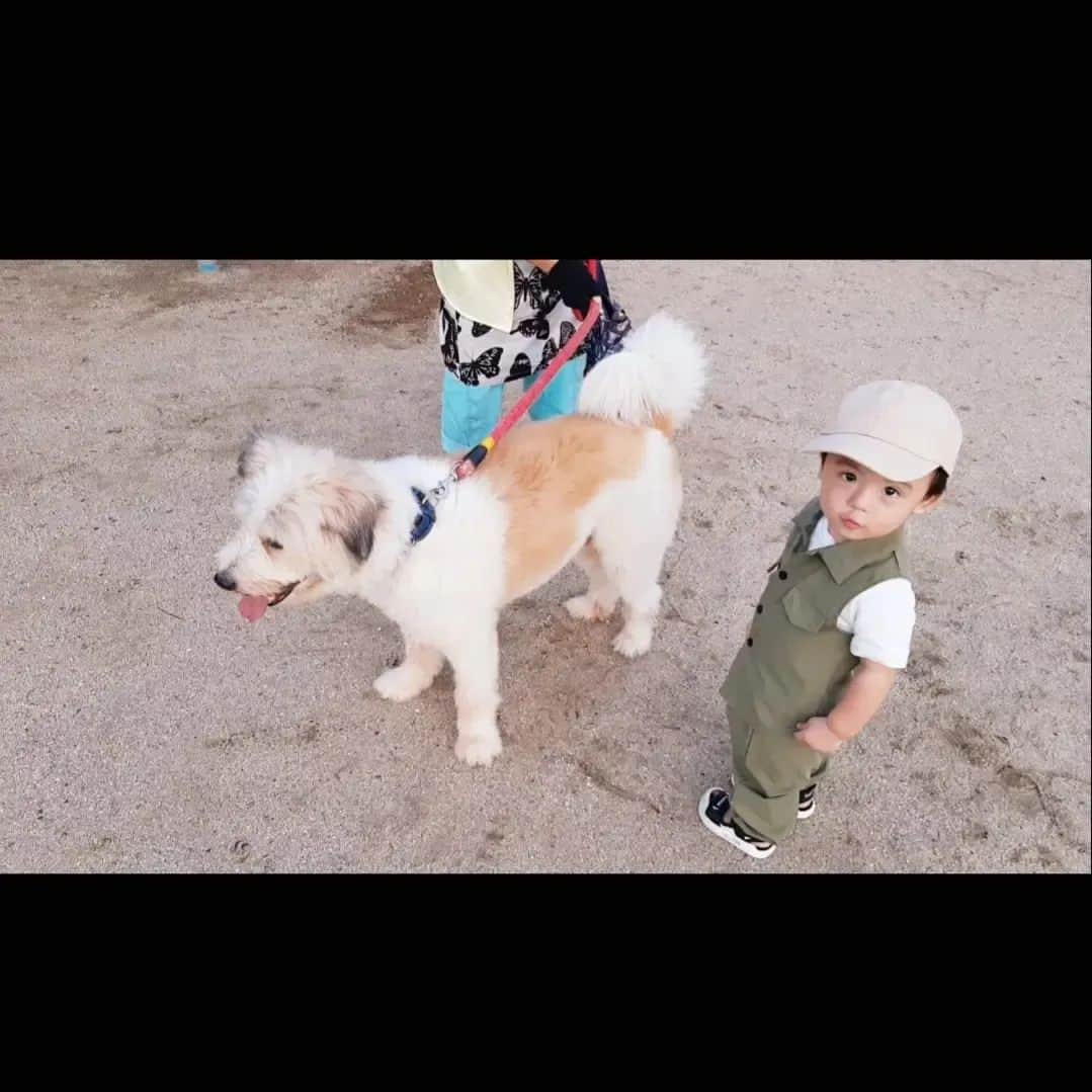 友利愛美のインスタグラム：「🍼♥👶🐶♥🐾  お散歩に公園に来てたわんちゃんと触れ合わせてもらったよ！ （ワンワンが公園に入ってきたら駆け寄るぼうや👶）  かわいいまるちゃん🐶優しいまるちゃんの飼い主さん♥  遊んでくれてありがとうございました☺️🌼  飼い主さんから「写真一緒にとっときぃ🐶👶」って言ってくださって、ママカメラマンうれしかったです🤣♥  （たいちゃんの成長収め隊、隊長🤣📷）  ワンワンかわいいねぇ😊🧡🧡🧡🧡 まるちゃんおめめキュルキュルだったなぁ🥺😍  いつか犬も飼ってみたいなぁ〜🐶  ワンニャン楽しい大家族、夢だなぁ🏡♥  ☺️🌼🧡☺️🌼🧡 #公園遊び #お散歩 #わんちゃん #dog #犬 #なにげない瞬間を残したい #あかちゃんのいる暮らし  #男の子ベビー #1歳3ヶ月 #成長記録」
