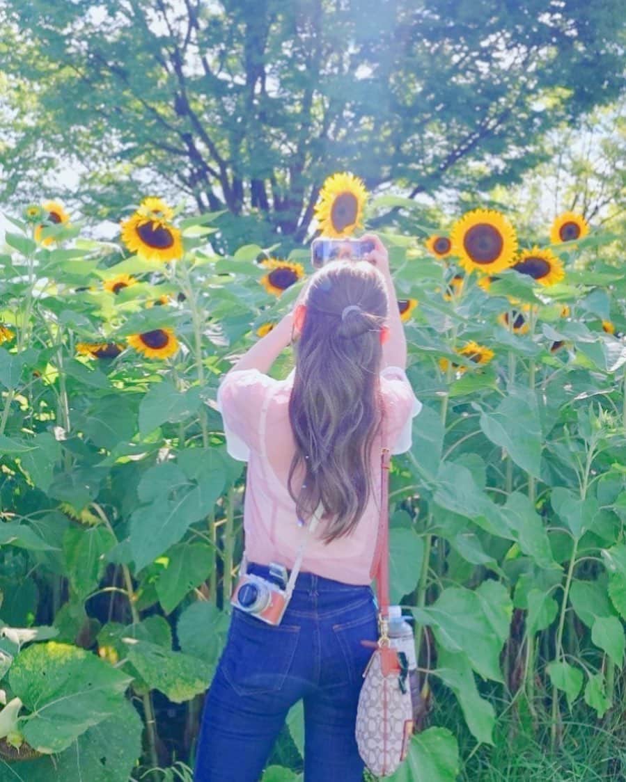 のインスタグラム：「🤍  髪伸びたなぁ〜 そしていつぞやに入れたハイライト可愛すぎ🩷 ハイライトって放置してても汚くならなくて、本当に好き(*´꒳`*)  #ひまわり 🌻 #夏」
