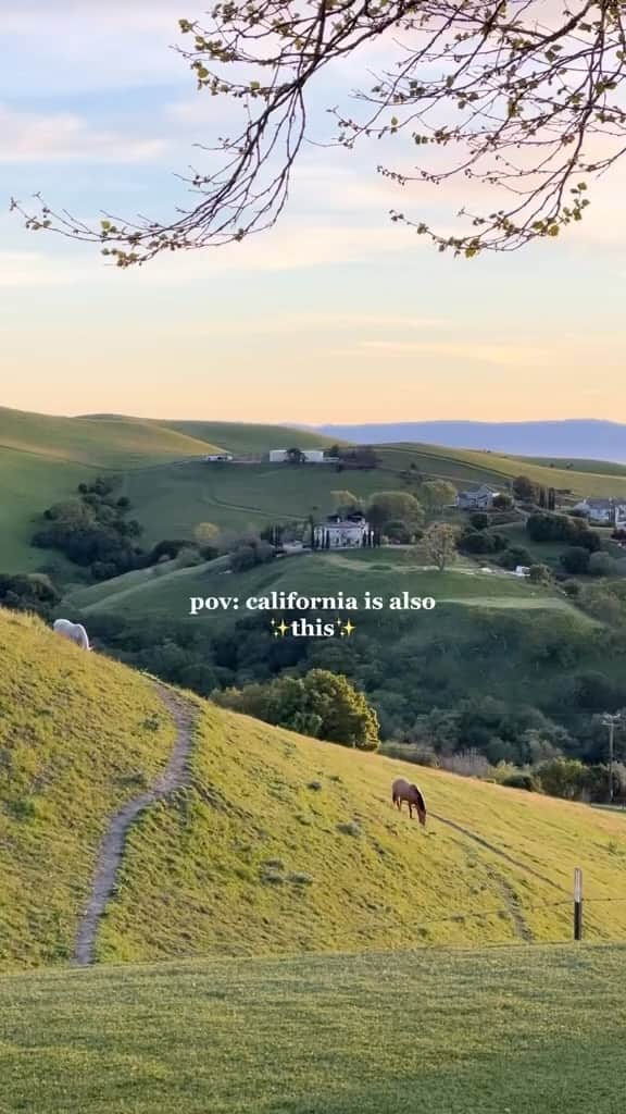 ✈MyTravelGram™のインスタグラム：「from the pacific ocean to beautiful mountains 🥲 #sunsetlover #sanfranciscobayarea  🎥By: danislguero_ TT」