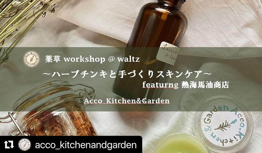 津久井智子のインスタグラム：「アッコさんの薬草ワークショップ😊in Waltz.   #Repost @acco_kitchenandgarden with @use.repost ・・・ ご案内🌿🌿🌿 ⁡ 今回は、場所も内容もちょっとスペシャルです✨ 夏の終わりに、美しい湧水の街・三島で薬草ワークショップを開催させていただくことになりました。 ⁡ 源兵衛川沿いのカフェギャラリー waltzさまにて、ハーブチンキと化粧水＆馬油クリームを一緒に作りましょう。 ⁡ 熱海馬油商店さまのご協力のもと。いつもより簡単に出来てしかも軽いテクスチャーという、この季節にちょうど良い万能クリームが作れます😊これで、スキンケアに欠かせない水分油分をコンプリート出来てしまう贅沢な内容となりました✨✨ ⁡ 夏に疲れたお肌と心身をいたわって、ひとときのリラックスタイムを過ごしに来てもらえたら嬉しいです。 皆さまぜひご予定ください☺️ ⁡ ・・・・・ ⁡ 薬草ワークショップ@ waltz  〜ハーブチンキと手づくりスキンケア〜 featuring 熱海馬油商店   　　　　　　　　　　 【日時と場所】 2023/8/20 sunday  ①10:00〜11:30  ②13:30〜15:00  @dilettantecafe_waltz （dillettant cafe 3F）  ¥4500 tax込　 ⁡ 【内容】 talk :  ハーブチンキの基本と使いかた work : お好きなハーブで作りましょう   1.ハーブ化粧水    2.ハーブと馬油の万能クリーム    3.ハーブチンキ仕込み  (すべてご自身で作ったものをお持ち帰りいただきます) ⁡ ※3.でチンキに仕込むハーブは、以下のものをご用意する予定です。希望指定のある方は、教えてください。午後の回でも確実にご希望のものを使っていただけるようご用意します。 🌿ラベンダー　🌿ローズマリー　🌿タイム　 🌿ドクダミ、セントジョンズワート、ミシマサイコ(この３つは限定数のご提供となります) ⁡ ↓8/10追記　ランチ満席となりました🙇‍♀️ 1階のdilettante cafe は美味しいお料理をいただけるカフェレストラン🍽️ 川沿いのあの雰囲気がまた素敵なのですよ…🤤週末は満席になることが多いので、ご希望ありましたらWSお申し込み時にランチ予約も一緒に承ります。その旨お知らせくださいませ✉️もちろんお店へ直接のお問い合わせ・ご予約もぜひです✨ (ランチコース 前菜・主菜・お飲物 ¥2,750〜)  https://www.dilettantecafe.com/  ⁡ ⁡ 【お申込み】 こちらInstagramDMまたはFBDMにてお受けいたします。 ①お名前と参加人数　 ②ご希望回( 10:00〜or 13:30〜)  ③ご連絡先  ④希望あるかた:  チンキに仕込むハーブ 上記確認後、順次ご連絡させていただきます😊 ⁡ 【お支払い】 当日、waltz 入口受付にてお支払いください。 お現金のみの取扱いです。  【持ち物】 エプロン(気にしない方は無くても大丈夫です) ⁡ 【特記】 ・高濃度アルコールを使用してつくります。アルコールアレルギーがあるかたは、お控えください。 ・親子参加ご希望のかた、ご相談ください😉保護者1名に付き小学生以下のお子さま1名可能、中学生以上は大人としてご参加いただきます。席数の都合上、ご遠慮いただく場合もございます。 ・各回10名様までの予定です。 ⁡ むずかしく考えるより「楽しく心地良く」使うこと、続けられることを大切にしています🌿 身近な有用植物を暮らしに取り入れられたらちょっと満足・いい気分・知ればとっても簡単✨そんなことを伝えたいワークショップです。お気軽にお問い合わせくだい☺️ ⁡ 初めての方も、いつもの方も、皆さまのお申込みをお待ちしております🌿🌿 ⁡  acco_kitchenandgarden  ⁡ ⁡ #dillettantcafe_waltz. #熱海馬油商店  #薬草ワークショップ #薬草 #ワークショップ #ティンクチャー #チンキ #ハーブチンキ #手作り化粧水  #薬草コーディネーター #ハーブ #馬油 #手作りコスメ #手づくりスキンケア #三島 #源兵衛川 #三島広小路 #熱海#静岡東部 #sustainablelifestyle  #herbs #herbgarden #tincture #handmade #skincare  #workshop #kitchenandgarden #庭と台所  ⁡ ⁡ ⁡」