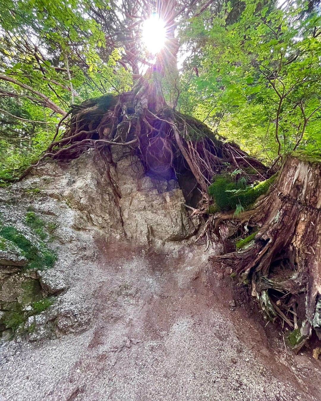 森田麻恵さんのインスタグラム写真 - (森田麻恵Instagram)「2日目の上高地☀️⛰️🌿🌳🛶🍛  晴れても気温は20度くらい。 木々の間を爽やかな風が流れていて快適ハイキング！  辿り着いた明神池は、神聖で穏やかな美しいところでした⛩️  たくさん歩いて、お昼に食べたカレーがすごく美味しかった！  #上高地 #夏休み #summervacay  #familytrip」8月19日 14時37分 - morita_mae