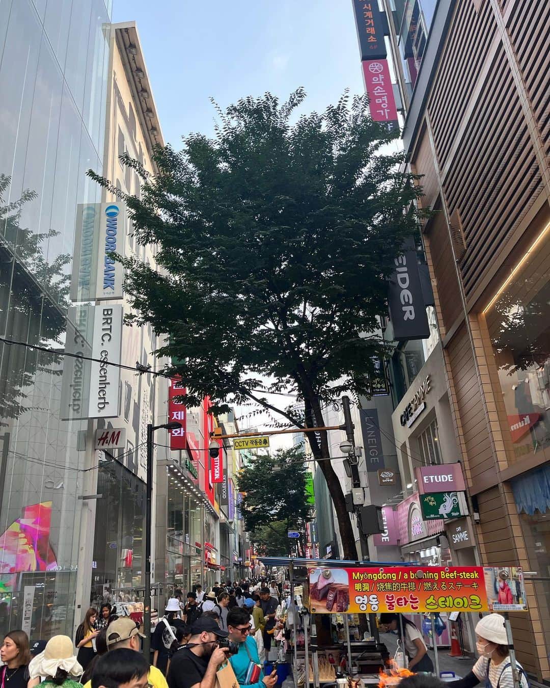 RENA さんのインスタグラム写真 - (RENA Instagram)「Thank you☺︎  昨日から韓国に来てます🩵  素敵なホテルでした🏨 @fourpointsmyeongdong   今回は初のプライベートで、しかも1人旅✈️  韓国の土地勘も流行もほとんど分からないので、まぁいつものノリだけで楽しんでますw  やっぱり私は色々と珍道中みたいなんで、韓国旅ストーリーの反響凄いので気になる方はストーリー見てくださいw🩵  では、今soulからKTX(特急)でdaejionに向かっているので更新してますが２日目もあっという間にこんな時間☀️  やっぱり目的地まで３時間かかりましたw💦  韓国めちゃくちゃ暑いです🥵🇰🇷  もうすぐ着くのでまた👋  #korea #trip #tourist #韓国旅 #韓国旅行 #一人旅 #オトナ女子」8月19日 14時31分 - rena_flare