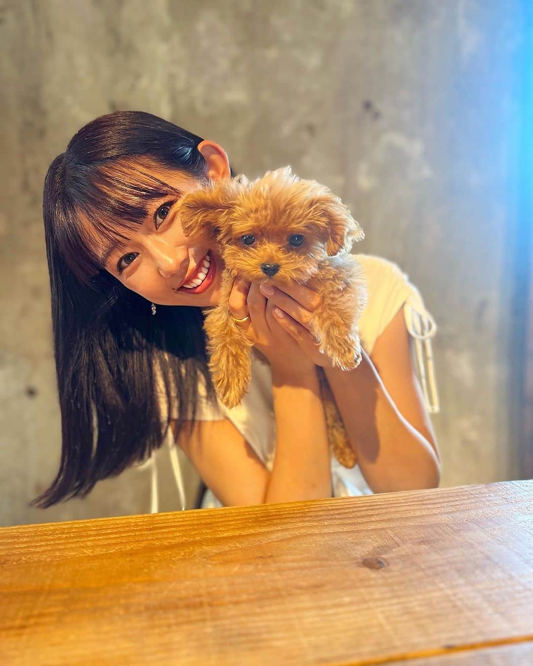 堀江聖夏のインスタグラム：「⌇‎♡♡♡ ⁡ 昨日はたくさん、アンデス〜と お祝いのコメントをしてくれて ありがとう♡ ⁡ これからも仲良くしてください💓 プードルちゃんお友達募集中です🐶♡ ⁡ ________________________________ #トイプードル #toypoodle #愛犬 #犬 #トイプー #dog #poodle #トイプードル男の子」
