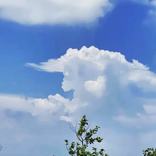 西山野園美のインスタグラム：「伊勢で見つけたかわいい雲☁️ ユニコーンの中にハートもあって超ゆめかわでした🦄🤍🦄🤍  台風の影響で電車が止まってて、したかなく徒歩で目的地向かっていたところで見つけたから、これはこれでラッキー🤞  #雲  #かわいい」
