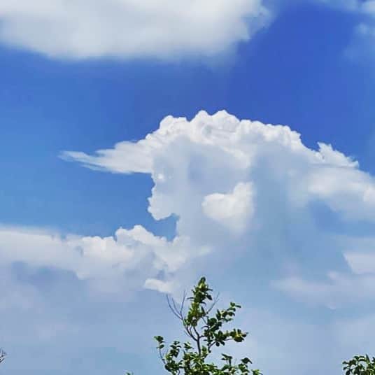 西山野園美のインスタグラム