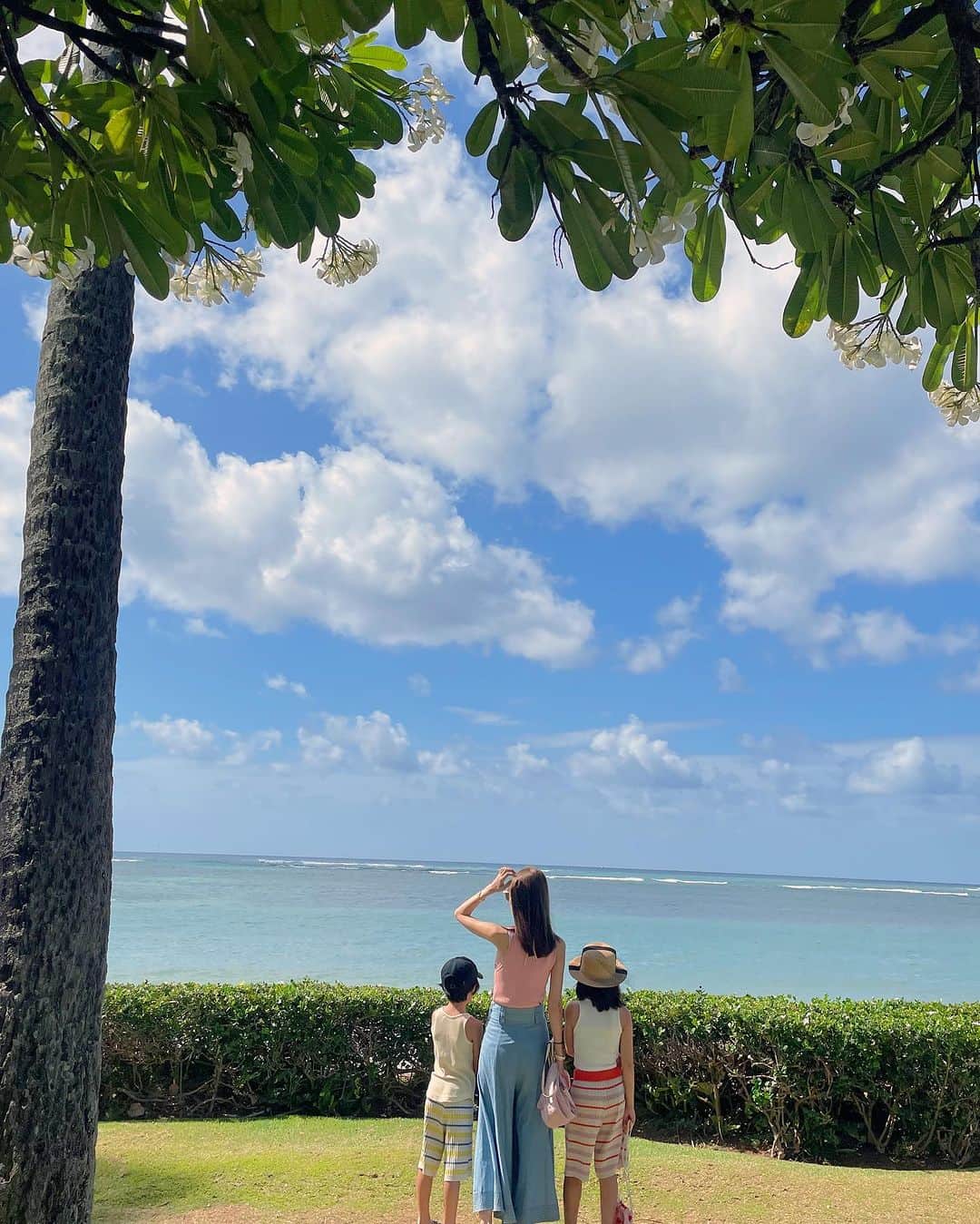 堀江直美さんのインスタグラム写真 - (堀江直美Instagram)「Plumeria Beach House 🌺  早起きしてビーチを歩いて朝食予約して、コーヒー頂いてまたビーチを散歩☕️  日本では考えられないゆったりとした時間…🌴  家族で過ごすHawaii時間も好きだけど、朝の1人時間も心地良い☺️  …にしても起きないのよ。👨🏽👧🏻👦🏻  #Hawaii#ハワイ#ハワイ旅行#子連れハワイ#Hawaiitrip#家族旅行#kahalahotel#kahala#カハラホテル#カハラ#家族写真#family#familyphotography #子連れ旅行#子連れ海外#shishikui#hn✈️trip#HIAND#ハイアンド#hnhiand」8月19日 15時19分 - naomiiiiiiiiiiii
