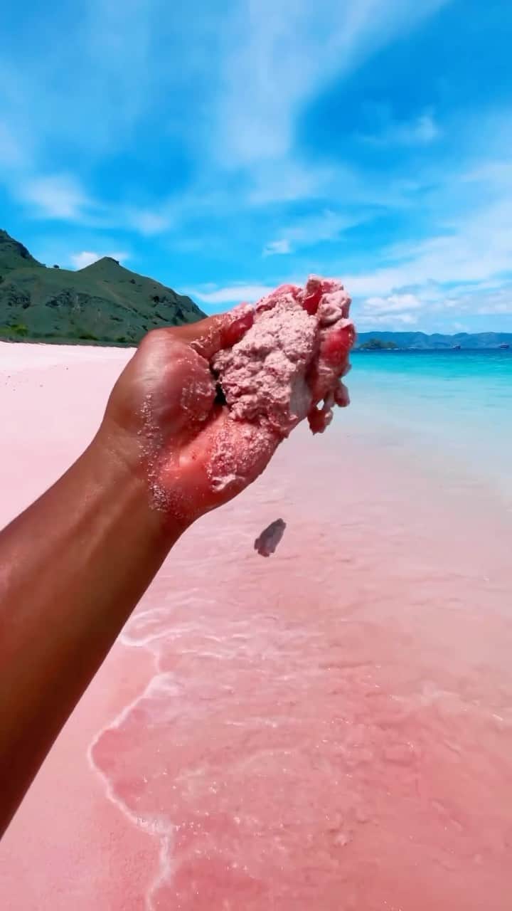 ✈MyTravelGram™のインスタグラム：「Beautiful capture 🎥 By: @onihoironi  📍Pink Beach, Komodo Island, Indonesia 🇮🇩 . . . . . . . #oni_komodoisland #KomodoPinkDreams #TranquilityFound #oni_Indonesia #komodoisland #labuanbajo #Indonesia #pinkbeach #indonesiatravel #indonesiagram #diindonesiaaja」