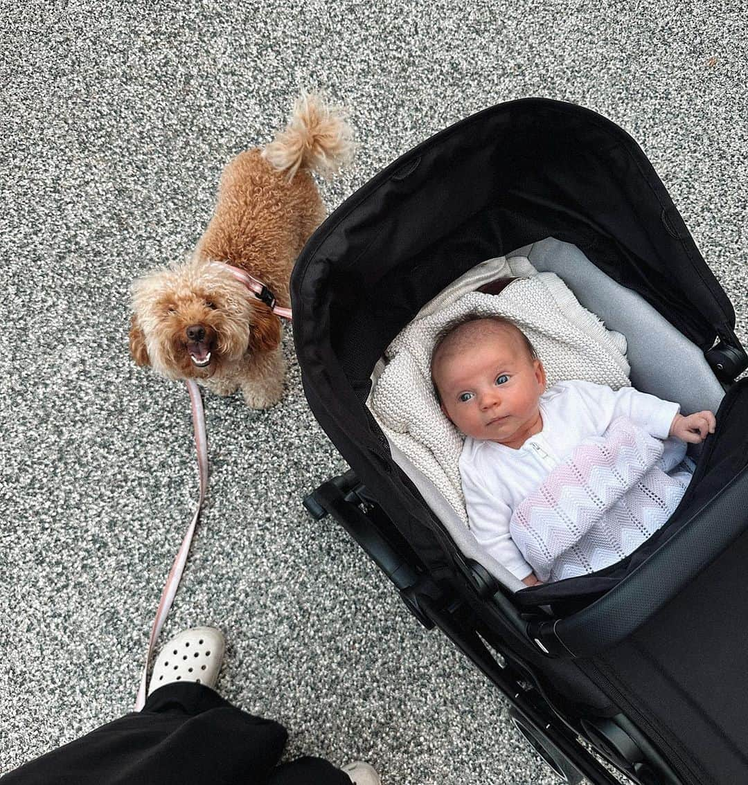 ファーン・マッキャンのインスタグラム：「These 2 🥰🐶👶🏼… this bird’s-eye view never looked so cute」