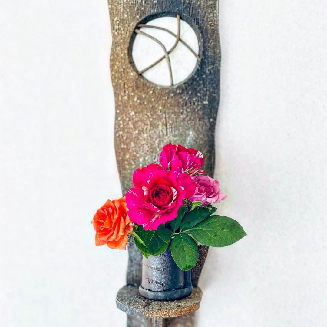 祥吉さんのインスタグラム写真 - (祥吉Instagram)「今日のお花 いただいた薔薇を飾りました 薔薇はやっぱり華やかです  #今日のお花 #薔薇 #バラ #ばら」8月19日 17時55分 - akoshokichi