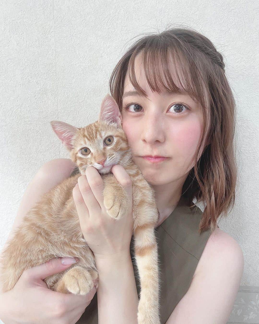 布施柚乃さんのインスタグラム写真 - (布施柚乃Instagram)「久々(たった1週間)のちゃーは大きくなってる気がします。  実家で広々と満喫してたみたい。 実家猫レインがたくさん遊んでくれたみたいで  可愛いんだけど、やんちゃで大変だったと報告を受けました。」8月19日 18時11分 - yuno.fuse