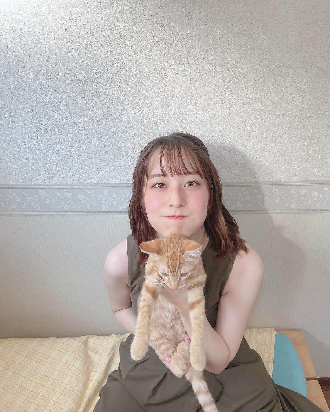 布施柚乃さんのインスタグラム写真 - (布施柚乃Instagram)「久々(たった1週間)のちゃーは大きくなってる気がします。  実家で広々と満喫してたみたい。 実家猫レインがたくさん遊んでくれたみたいで  可愛いんだけど、やんちゃで大変だったと報告を受けました。」8月19日 18時11分 - yuno.fuse