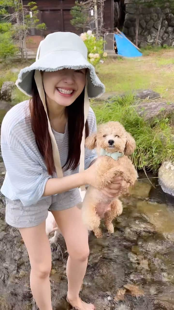 浦まゆのインスタグラム：「初川遊びで、空中でも永遠泳いでたおちび🐶🐟💦🌤️  #いぬすたぐらむ #いぬすたぐらむ🐶 #いぬとの暮らし #いぬのいる暮らし #いぬのきもち #いぬばか部 #いぬバカ部 #いぬなしでは生きていけません #犬スタグラム #犬バカ部 #犬のいる暮らし #犬との暮らし #犬のいる生活 #犬なしでは生きていけません会 #といぷーどる #トイプードル #多頭飼い #多頭飼いの幸せ」