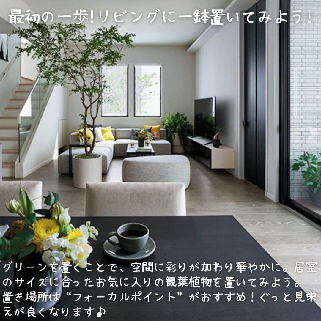 ミサワホーム株式会社さんのインスタグラム写真 - (ミサワホーム株式会社Instagram)「@misawahomes⠀ ＜vol.2＞「グリーンのある暮らし」  はじめてのグリーン ￣￣￣￣￣￣￣￣￣￣￣￣￣￣￣ 住まいで過ごす時間が長くなり、関心が高まってきた「グリーン」。 …でも、「グリーンのある暮らし」って何からはじめたらいいの？ 難しさを感じている方も多いのではないでしょうか。  今回の「はじめてのグリーン」編では、リビングに一鉢のグリーンを置くことを最初の一歩とし、おすすめの置き場所や、観葉植物のサイズ感、おすすめの樹木などをご紹介します♪  また、「グリーンのある暮らし」シリーズでは、  ・育てやすい動線や間取りのポイント ・ハンギンググリーンって？ ・上手に取り入れたいフェイクグリーン  など、「グリーンのある暮らし」の実現に向けた住まいづくりのポイントをご紹介しますので、ぜひご覧くださいね！  ￣￣￣￣￣￣￣￣￣￣￣￣￣￣￣ #misawahome  #ミサワホーム  #ミサワホーム注文住宅  #新築戸建て #戸建て #住宅デザイン  #空間デザイン  #建築事例 #高天井 #蔵のある家 #観葉植物インテリア #観葉植物初心者 #観葉植物がある暮らし #観葉植物のある生活 #グリーンのある暮らし #グリーンインテリア #グリーンライフ #インテリアグリーン #インテリアグリーンのある暮らし #インテリアプランツ #ベランダガーデン #ハンギンググリーン #フェイクグリーン #好きなものに囲まれた暮らし #おうち時間を楽しむ #癒やしの空間 #フィカス #フィカスウンベラータ #フィカスアルテシマ #パキラ」8月19日 19時00分 - misawahomes