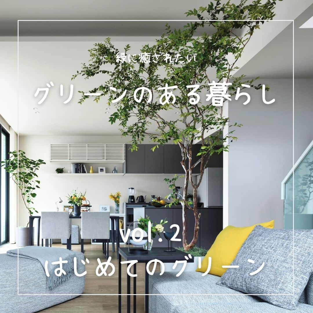 ミサワホーム株式会社さんのインスタグラム写真 - (ミサワホーム株式会社Instagram)「@misawahomes⠀ ＜vol.2＞「グリーンのある暮らし」  はじめてのグリーン ￣￣￣￣￣￣￣￣￣￣￣￣￣￣￣ 住まいで過ごす時間が長くなり、関心が高まってきた「グリーン」。 …でも、「グリーンのある暮らし」って何からはじめたらいいの？ 難しさを感じている方も多いのではないでしょうか。  今回の「はじめてのグリーン」編では、リビングに一鉢のグリーンを置くことを最初の一歩とし、おすすめの置き場所や、観葉植物のサイズ感、おすすめの樹木などをご紹介します♪  また、「グリーンのある暮らし」シリーズでは、  ・育てやすい動線や間取りのポイント ・ハンギンググリーンって？ ・上手に取り入れたいフェイクグリーン  など、「グリーンのある暮らし」の実現に向けた住まいづくりのポイントをご紹介しますので、ぜひご覧くださいね！  ￣￣￣￣￣￣￣￣￣￣￣￣￣￣￣ #misawahome  #ミサワホーム  #ミサワホーム注文住宅  #新築戸建て #戸建て #住宅デザイン  #空間デザイン  #建築事例 #高天井 #蔵のある家 #観葉植物インテリア #観葉植物初心者 #観葉植物がある暮らし #観葉植物のある生活 #グリーンのある暮らし #グリーンインテリア #グリーンライフ #インテリアグリーン #インテリアグリーンのある暮らし #インテリアプランツ #ベランダガーデン #ハンギンググリーン #フェイクグリーン #好きなものに囲まれた暮らし #おうち時間を楽しむ #癒やしの空間 #フィカス #フィカスウンベラータ #フィカスアルテシマ #パキラ」8月19日 19時00分 - misawahomes