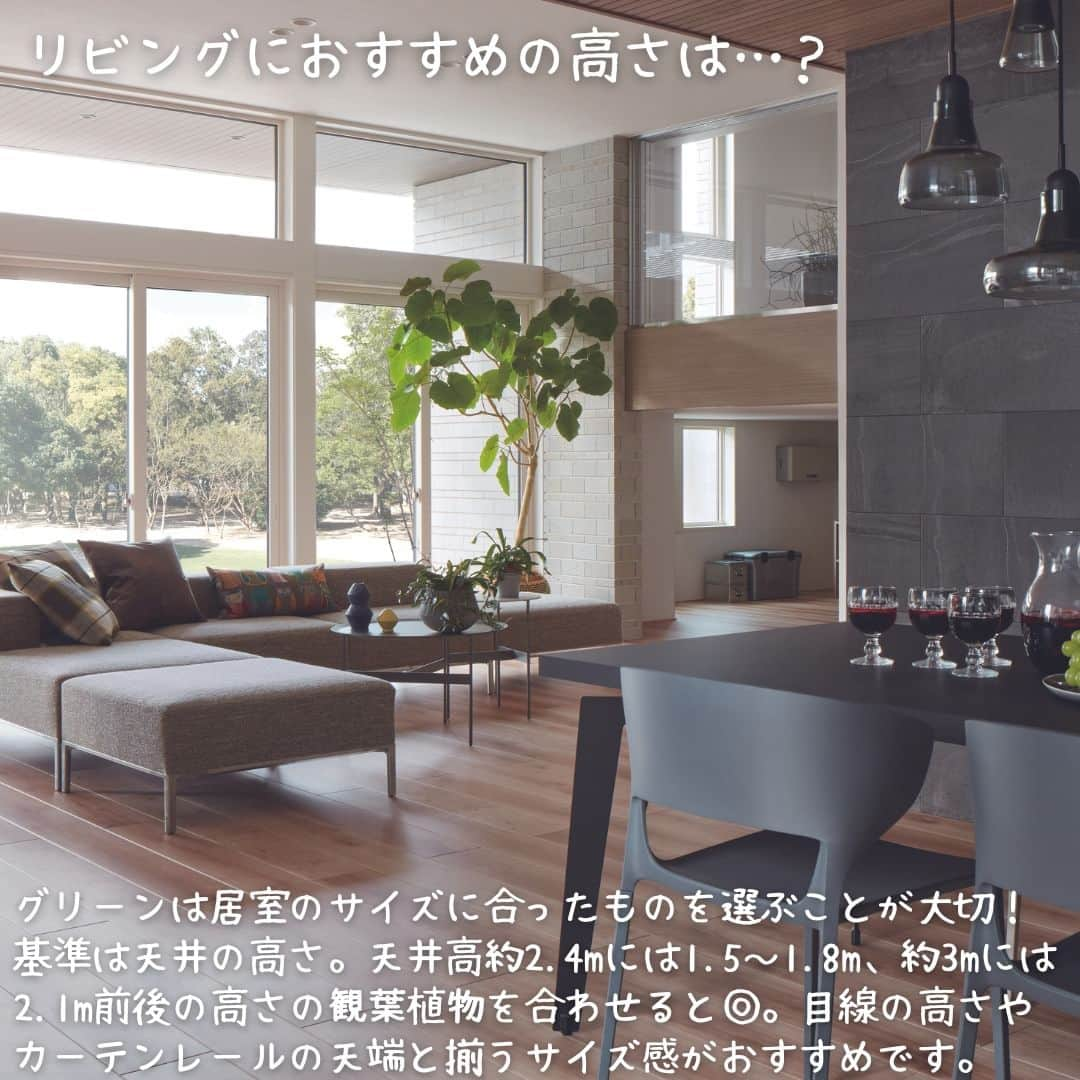 ミサワホーム株式会社さんのインスタグラム写真 - (ミサワホーム株式会社Instagram)「@misawahomes⠀ ＜vol.2＞「グリーンのある暮らし」  はじめてのグリーン ￣￣￣￣￣￣￣￣￣￣￣￣￣￣￣ 住まいで過ごす時間が長くなり、関心が高まってきた「グリーン」。 …でも、「グリーンのある暮らし」って何からはじめたらいいの？ 難しさを感じている方も多いのではないでしょうか。  今回の「はじめてのグリーン」編では、リビングに一鉢のグリーンを置くことを最初の一歩とし、おすすめの置き場所や、観葉植物のサイズ感、おすすめの樹木などをご紹介します♪  また、「グリーンのある暮らし」シリーズでは、  ・育てやすい動線や間取りのポイント ・ハンギンググリーンって？ ・上手に取り入れたいフェイクグリーン  など、「グリーンのある暮らし」の実現に向けた住まいづくりのポイントをご紹介しますので、ぜひご覧くださいね！  ￣￣￣￣￣￣￣￣￣￣￣￣￣￣￣ #misawahome  #ミサワホーム  #ミサワホーム注文住宅  #新築戸建て #戸建て #住宅デザイン  #空間デザイン  #建築事例 #高天井 #蔵のある家 #観葉植物インテリア #観葉植物初心者 #観葉植物がある暮らし #観葉植物のある生活 #グリーンのある暮らし #グリーンインテリア #グリーンライフ #インテリアグリーン #インテリアグリーンのある暮らし #インテリアプランツ #ベランダガーデン #ハンギンググリーン #フェイクグリーン #好きなものに囲まれた暮らし #おうち時間を楽しむ #癒やしの空間 #フィカス #フィカスウンベラータ #フィカスアルテシマ #パキラ」8月19日 19時00分 - misawahomes