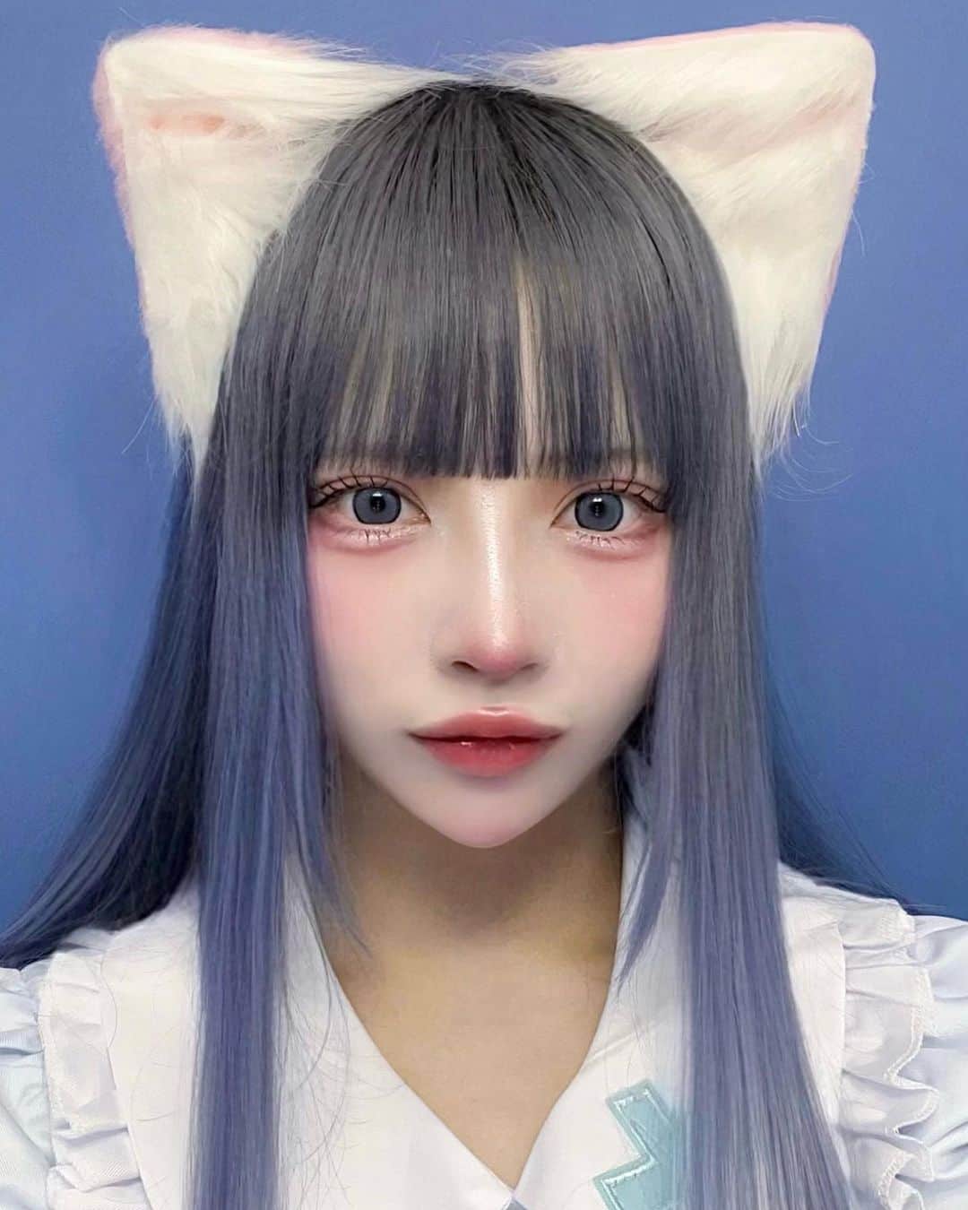 にゃんぽこらのインスタグラム：「職業ねこがいい」
