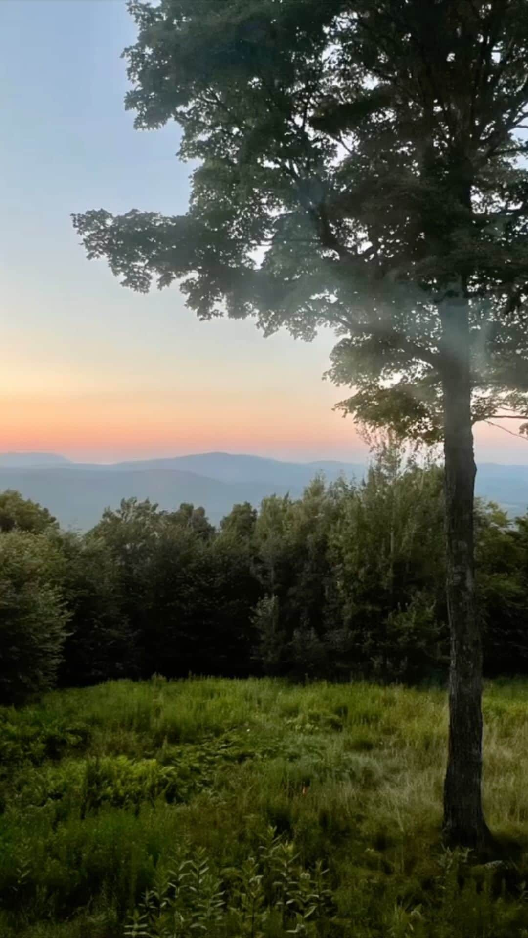 サラ・ラファティのインスタグラム：「We went to #Vermont. Now I miss it. 🧚‍♀️🌻🍓⛰️📚👨‍👩‍👧‍👧❤️」