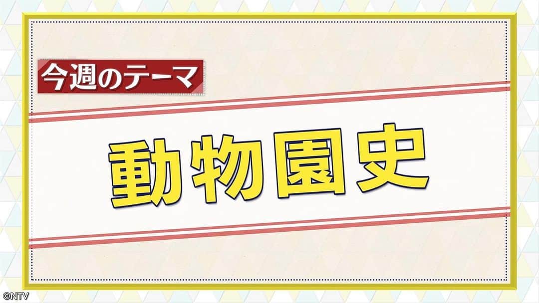 のインスタグラム：「. 9時55分頃からは今昔NEWSイッチ👉🏻👈🏻 (一部地域を除く)  今週のテーマは…🔍🐆🐘『動物園史』🦒🦍  昭和59年○○が初来日した時に日本中が大騒ぎ🤩 移動はパトカー🚓が先導⁉️  ゴリラ🦍の赤ちゃんを育てるため飼育員がしたこととは❓  おじさんの声すぎるサル🙊とは😳❓  #今昔NEWSイッチ #シューイチ」