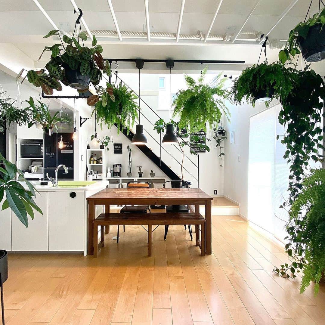 RoomClipJPさんのインスタグラム写真 - (RoomClipJPInstagram)「この部屋が素敵だなと思ったら「🌿」(葉っぱ)とコメントしてください！ モノトーンインテリアの空間に広がる元気いっぱいの植物がエネルギッシュな印象を与えるkobami_styleさん宅✨ハンギンググリーンと一緒に吊り下がっている照明も魅力的ですね！  ---------------------------------------  Photo: kobami_style RoomNo.  1397200   --------------------------------------  ぜひ「RoomClipムービー」のハッシュタグで 皆様の素敵なお部屋を撮影した動画を投稿してください🏠   --------------------------------------  この部屋のインテリアはRoomClipのアプリから ご覧いただけます。  アプリはプロフィール欄から ▶︎ @roomclipjp  ------------------------------------  600万枚以上集まる中から リアルな部屋のインテリア写真を毎日発信！  ------------------------------------  #ハンギンググリーン#グリーンのあるインテリア#植物のある暮らし#観葉植物のある暮らし#観葉植物がある暮らし #植物がある暮らし#ナチュラルインテリア#ナチュラル雑貨#ウッドデッキ#ウッドデッキのある家#一戸建て#一軒家#戸建て#戸建て住宅#インテリアコーディネート#好きなものに囲まれた暮らし#部屋づくり#リビングインテリア#リビングルーム#こだわりの家#雑貨好き#インテリア好き#おしゃれなインテリア#キッチンインテリア#インテリア好きと繋がりたい#ダイニングインテリア#デザイナーズ家具#空間デザイン#roomclip #ルームクリップ」8月19日 21時41分 - roomclipjp