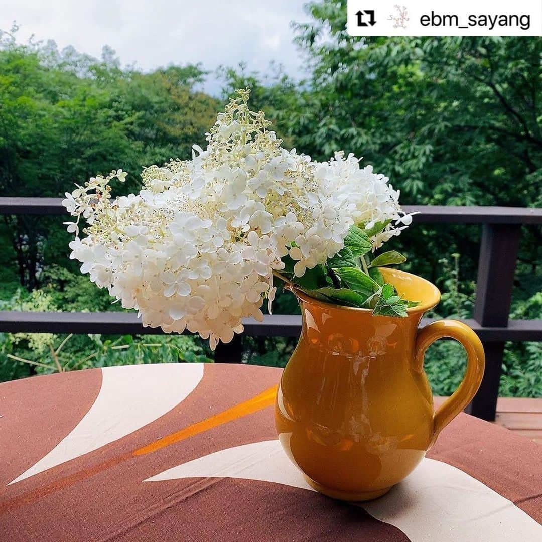 堤信子のインスタグラム：「#Repost @ebm_sayang with @use.repost ・・・ こんばんは🌙  今週もフリーアナウンサーの堤信子さん @nobnob1111 のミニエッセイ、「あなたの心地良さを作る習慣」をお届けします✨  習慣97、今年は盆捨離しましたか？  この週末は、お盆休み明けという方、お盆休み中の方、どちらもいらっしゃると思います。  ちょうど１年前のさやんのエッセイをみてみると、「お盆休みにモノを処分することを「盆捨離」というそう。しっかり片付けてご先祖様を気持ちよく迎えましょう」ということを書いていました。  そういえば、今年はまだ盆捨離していない、、 昨日気付いて、スイッチオンです。  ゴミ袋片手に、クローゼットへ直行、迷っているものも思い切って処分し始めたら、１時間で３袋、およそ３０枚の洋服を盆捨離できました。  何と言っても「ボンシャリ」という言葉の響きが、夏祭りのようでいいですよね。  衣類の処分は、一旦勢いがつくとスピードがどんどんアップし、処分すればするほど不思議とワクワクしてきます。 そしてスッキリしたクローゼットをみたときの達成感は、何にも代え難いものが。  皆さんもこの週末、クローゼットの「ボンシャリ」を楽しんでみませんか？ #ebm #ebmさやん #イービーエム #さやん #feelincafe #堤信子 #盆捨離 #断捨離 #整理整頓 #週末の過ごし方」