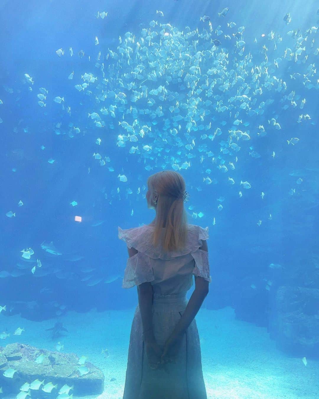 阿部マリアさんのインスタグラム写真 - (阿部マリアInstagram)「你的日本女友上線🩵⭐︎  日本人說到約會 就是要去水族館爹斯🪼 昨天上了#七夕情人節 男友視角約會影片 要去約會前 歡迎大家參考一下喲🧏🏻‍♀️」8月19日 22時12分 - _abedesu