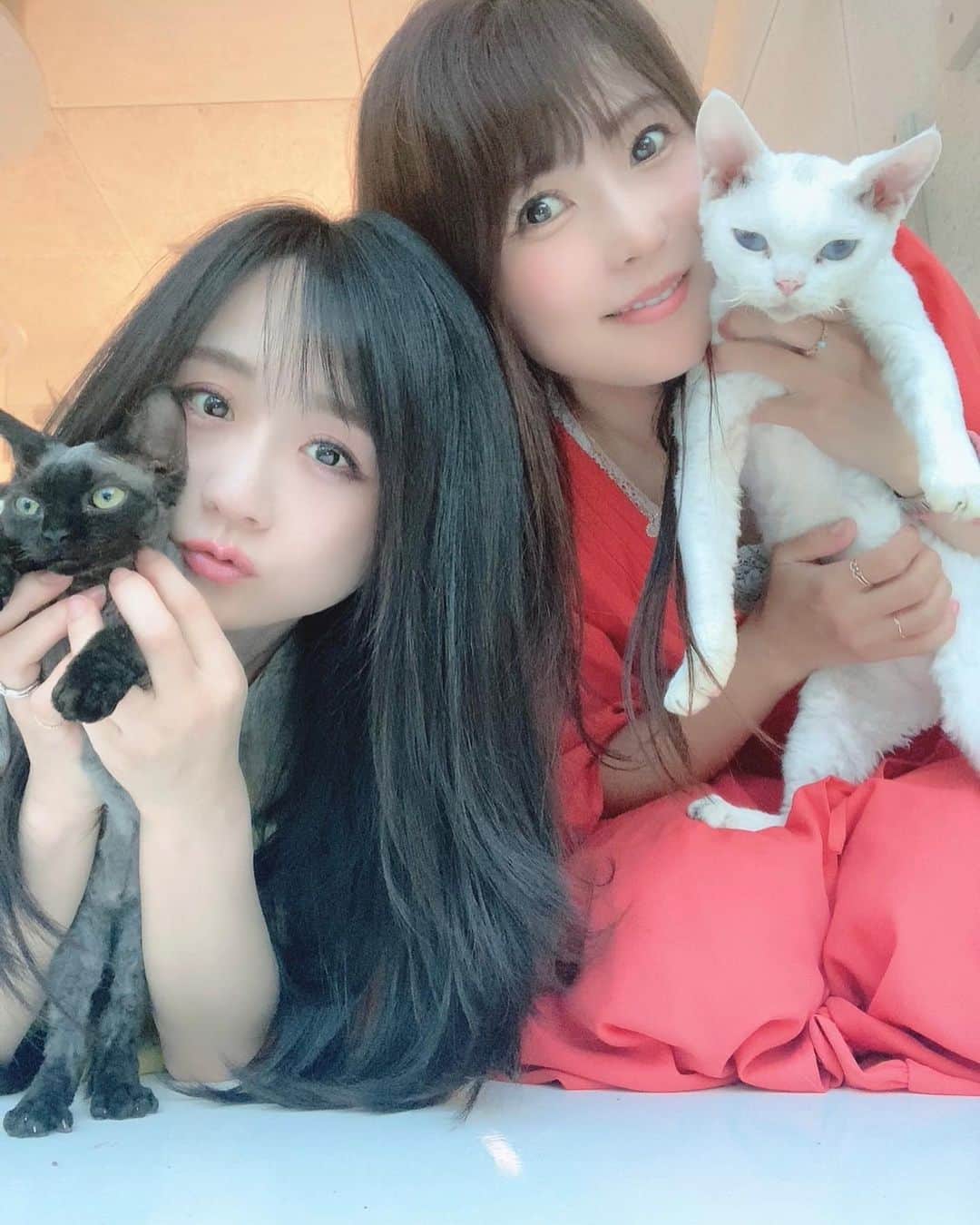 久保亜沙香のインスタグラム：「まちゃことネコ💚 かわいすぎます🐈‍⬛ 連れて帰りたいなぁ。」