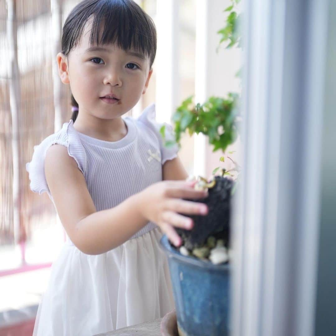 きりのさんのインスタグラム写真 - (きりのInstagram)「祖父の盆栽を触る桐乃🌿  盆栽かわいいよね、触りたくなるよねわかる笑  朝に食べたチョコパンが口についたまま🤭  #4歳女の子  #子どものいる暮らし #子どもの日常をもっと写真に」8月19日 22時44分 - kirino0808