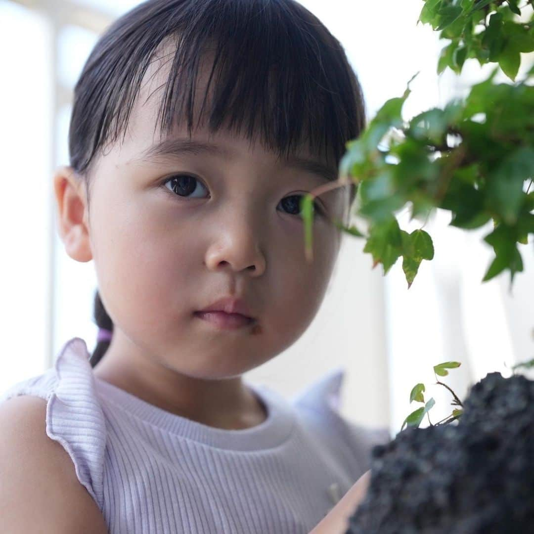 きりのさんのインスタグラム写真 - (きりのInstagram)「祖父の盆栽を触る桐乃🌿  盆栽かわいいよね、触りたくなるよねわかる笑  朝に食べたチョコパンが口についたまま🤭  #4歳女の子  #子どものいる暮らし #子どもの日常をもっと写真に」8月19日 22時44分 - kirino0808